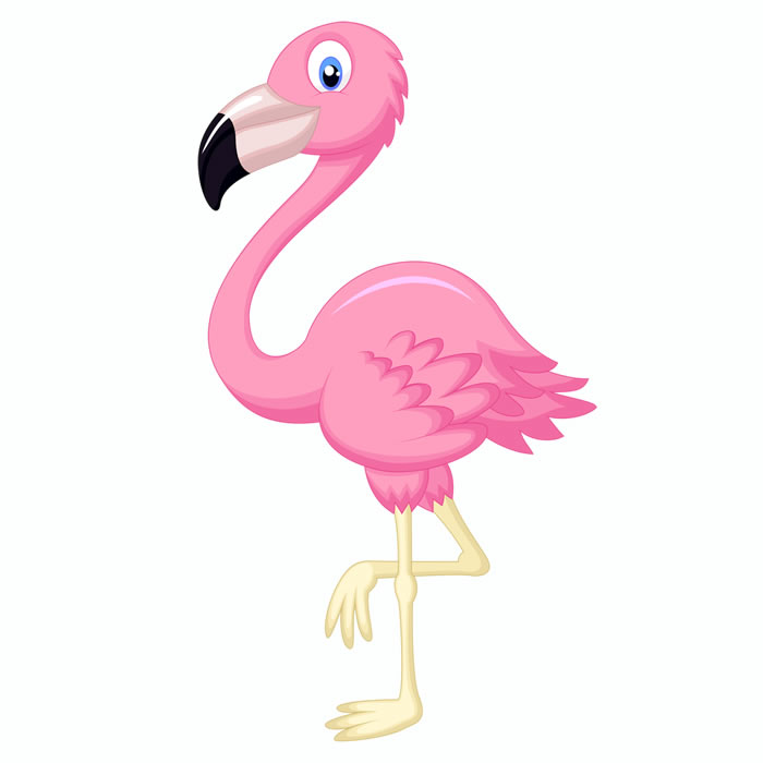 Фламинго картинка для детей