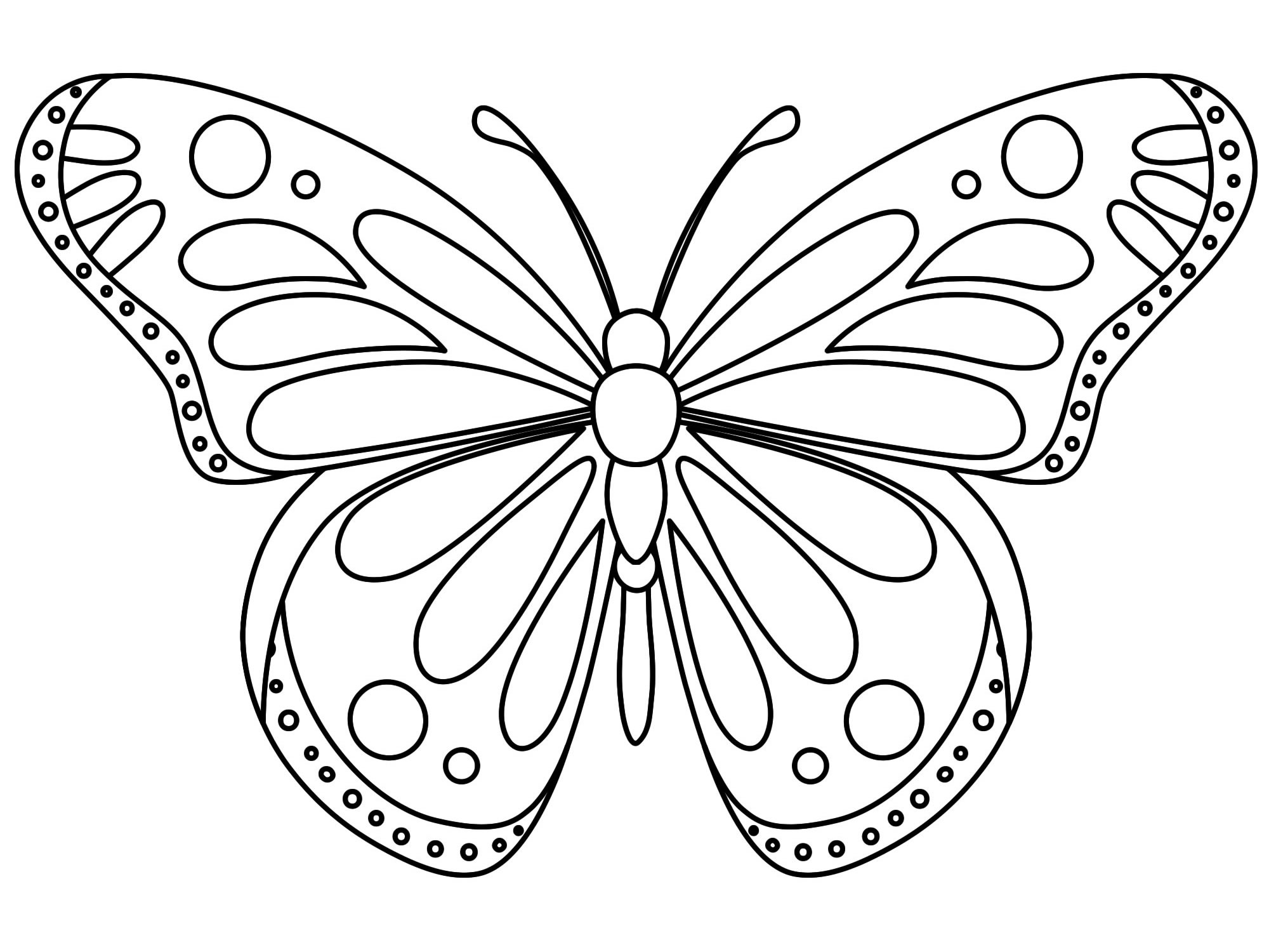 Красивая бабочка раскраска для детей