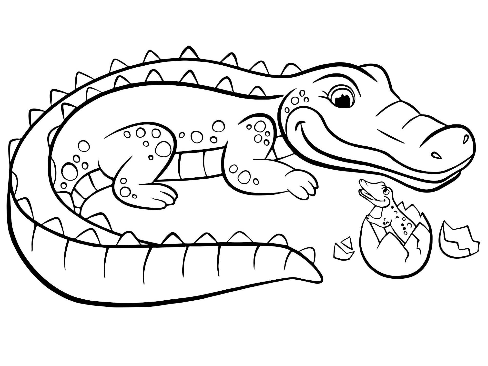 Рождение крокодила раскраска для детей