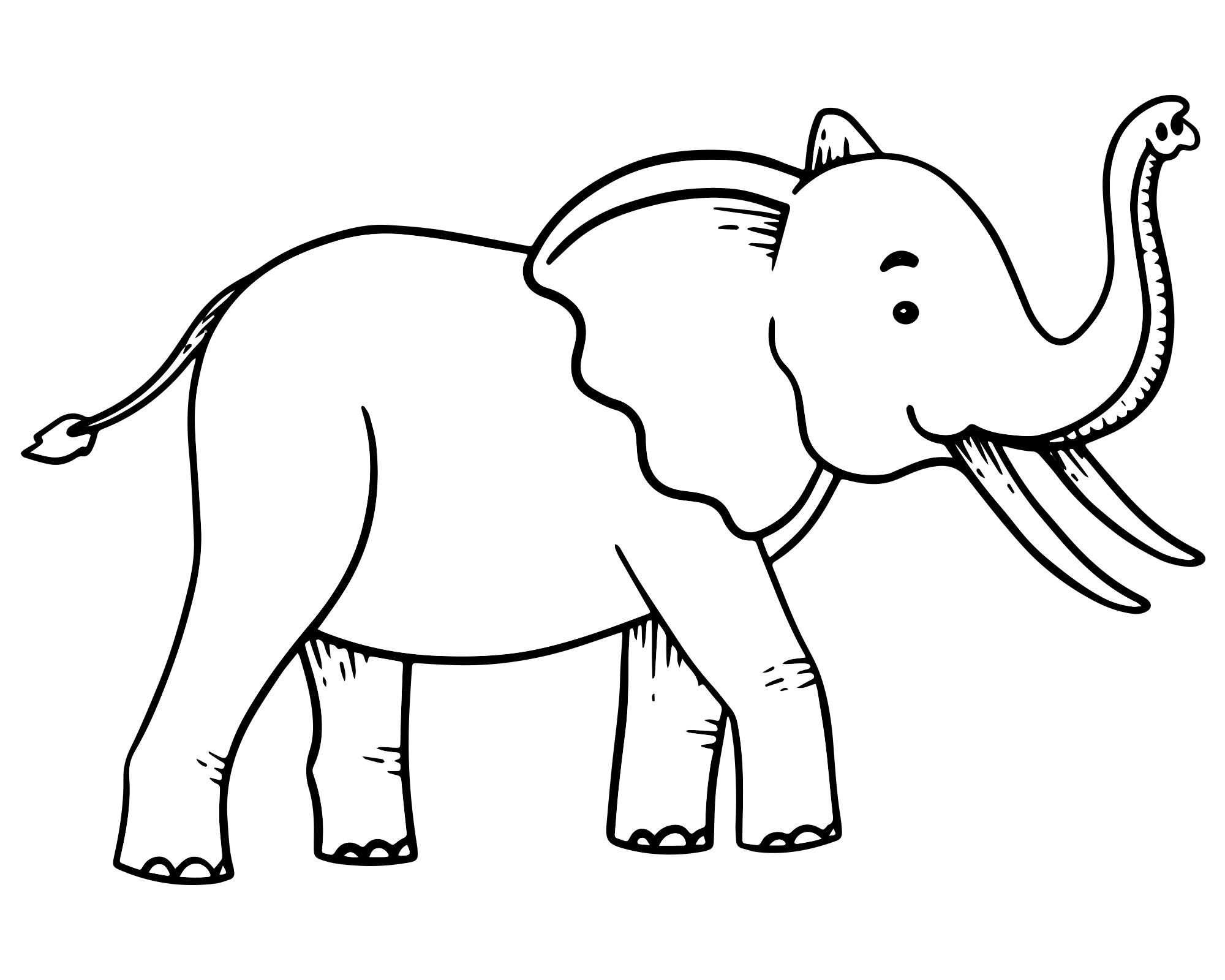Взрослый слон раскраска для детей
