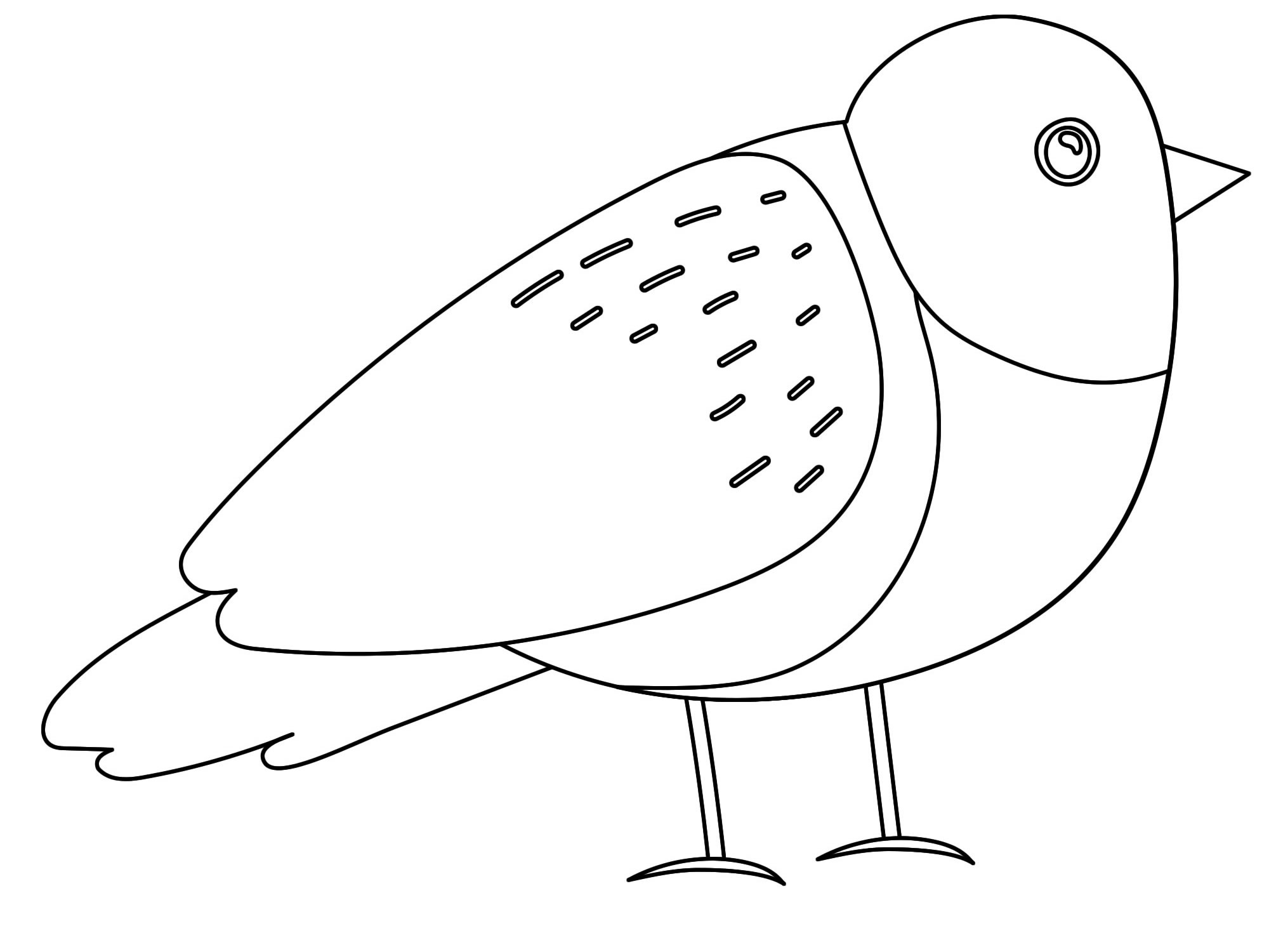 Птица Снегирь раскраска для детей