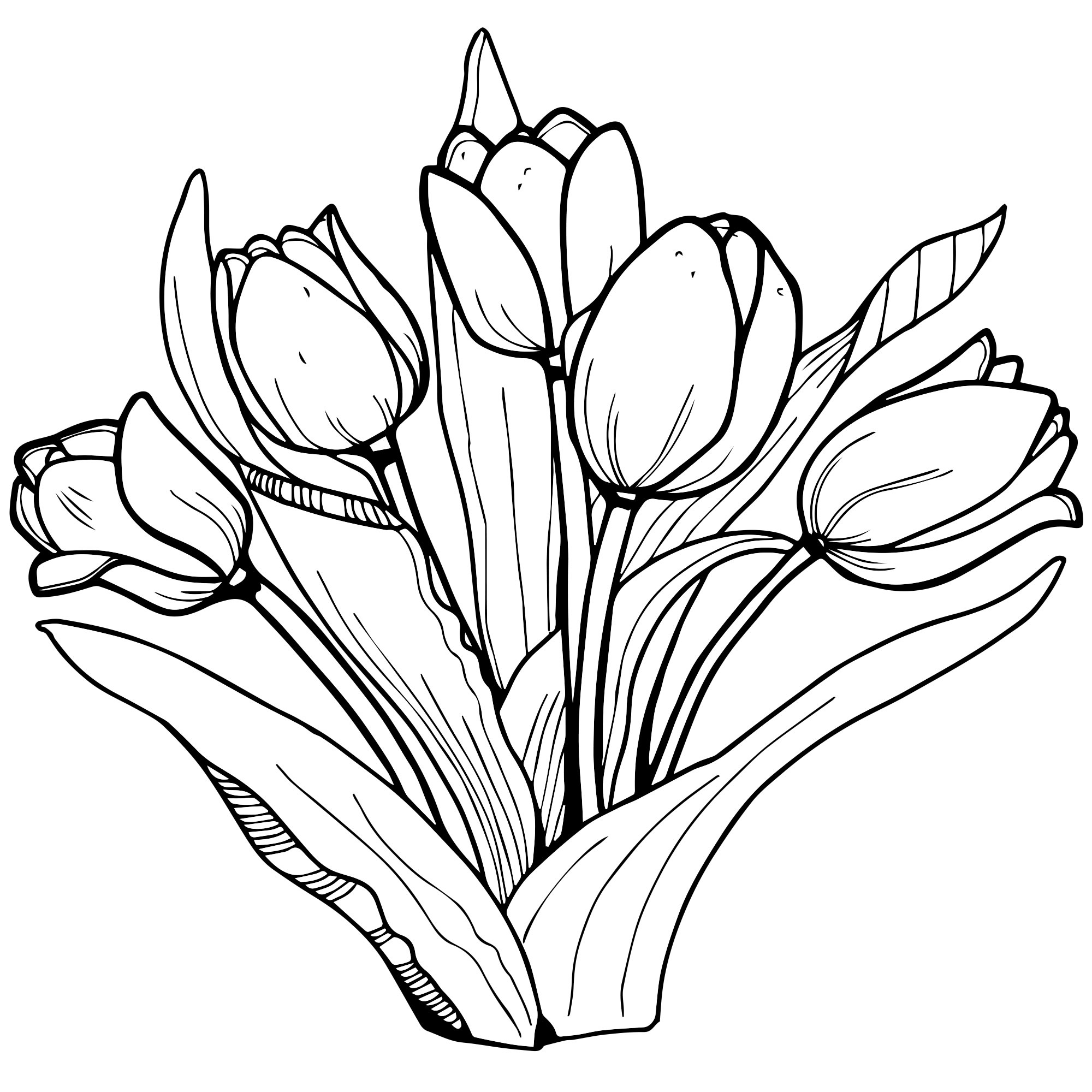 Цветы Тюльпаны раскраска для детей