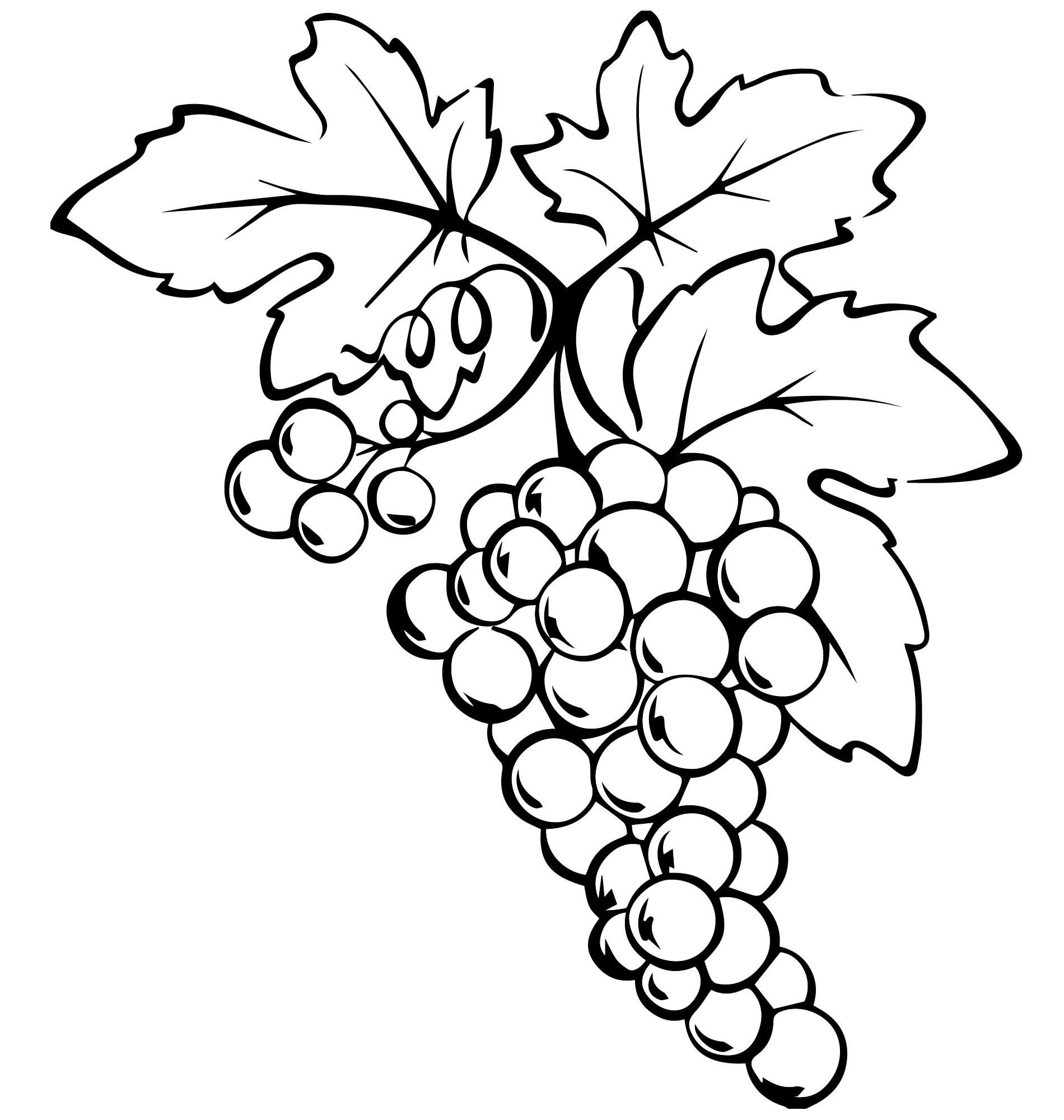 Спелый виноград раскраска для детей