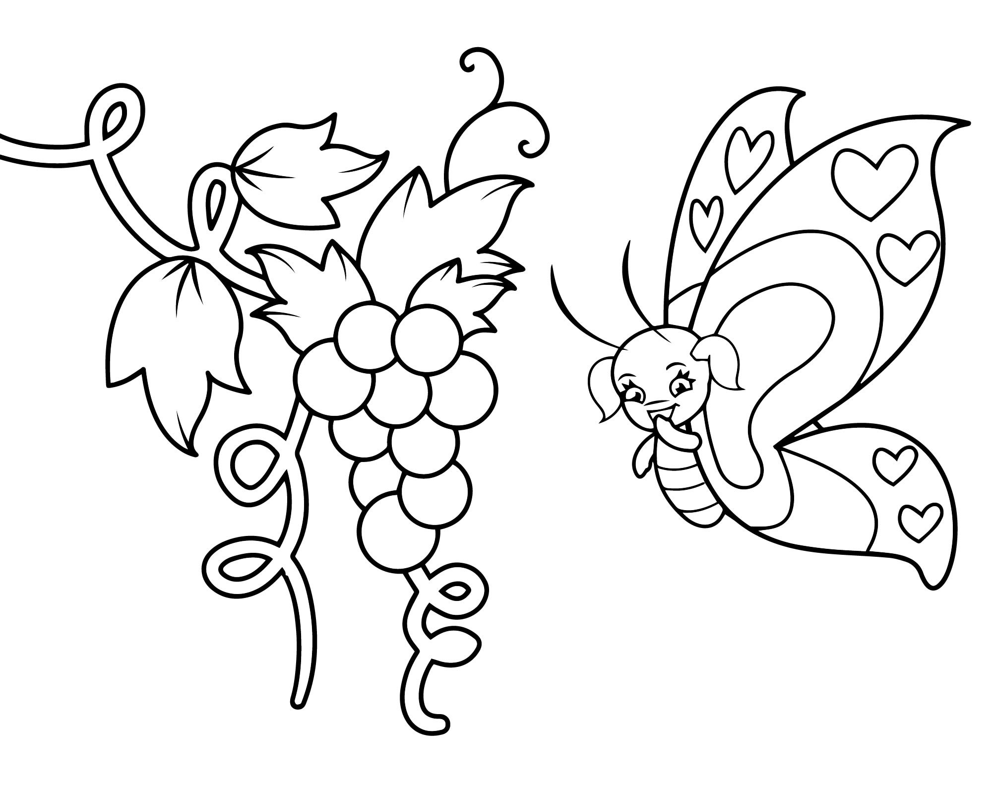 Виноград и бабочка раскраска для детей