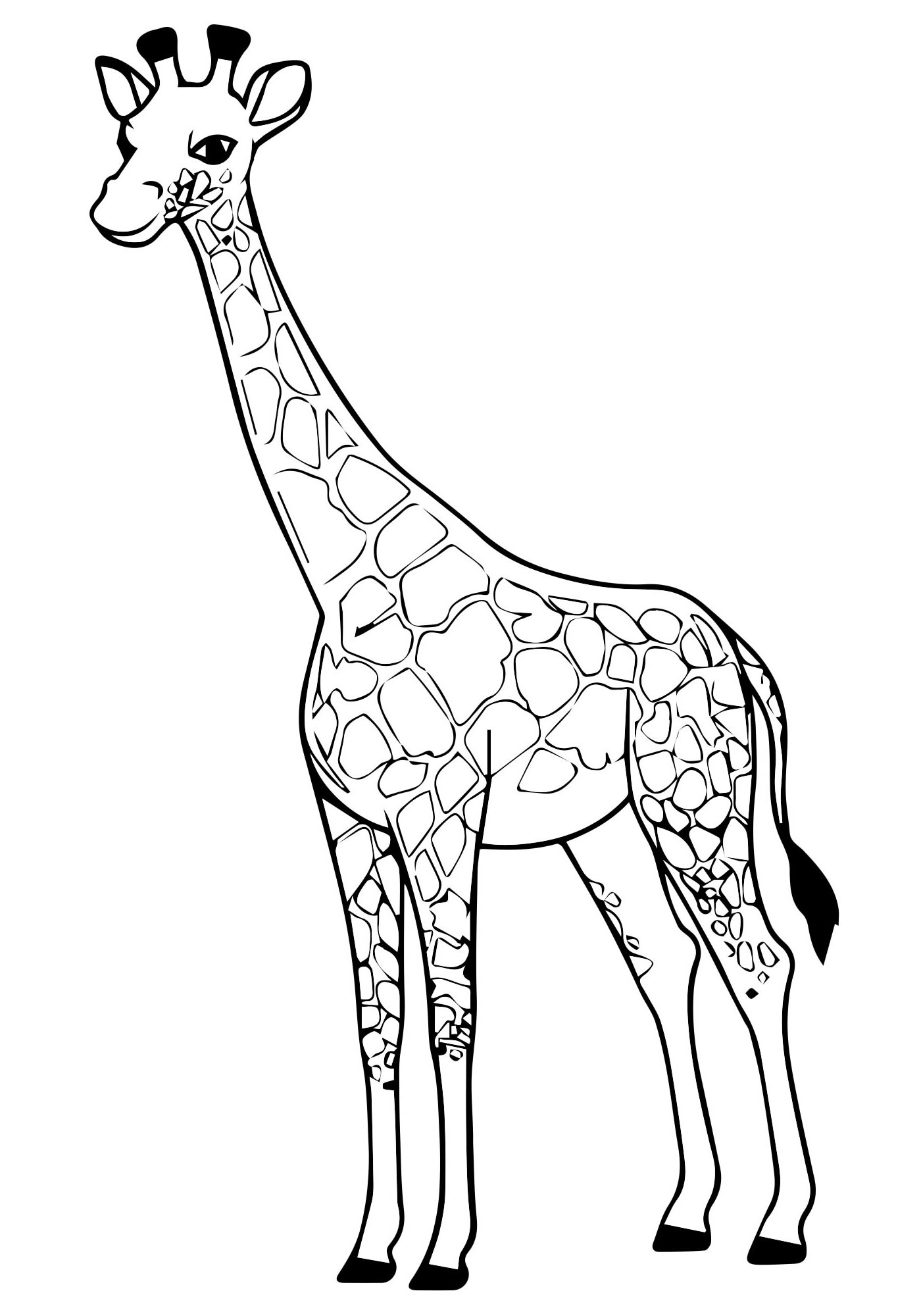 Настоящий жираф раскраска для детей