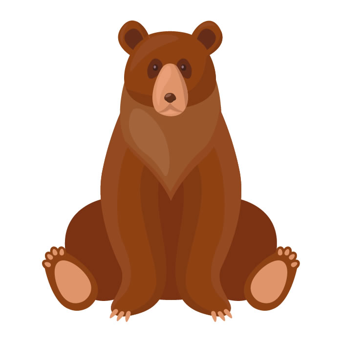 Медведи картинка для детей