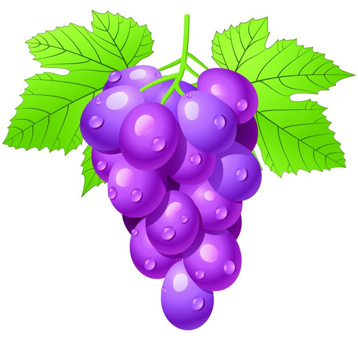 Раскраска виноград — Все для детского сада