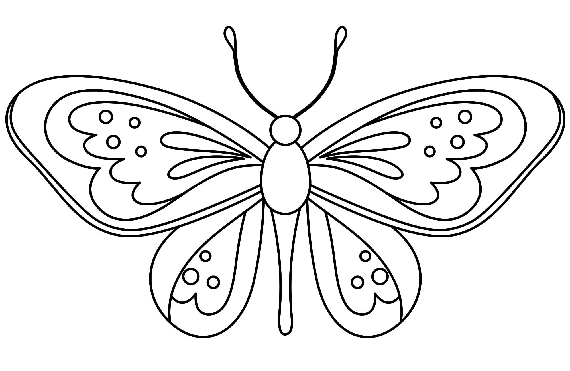 Летающая бабочка раскраска для детей
