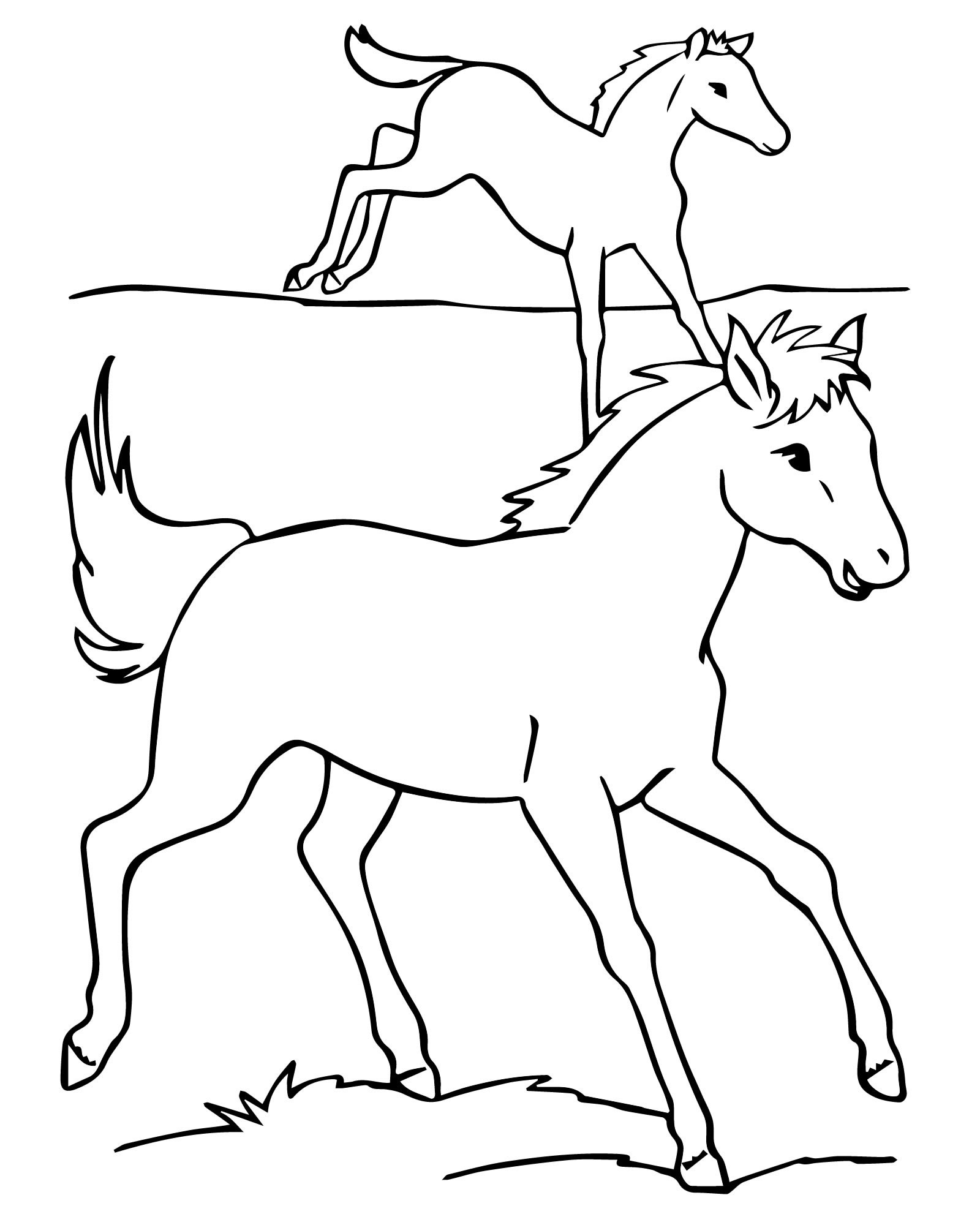 Раскраска Лошадь и жеребёнок
