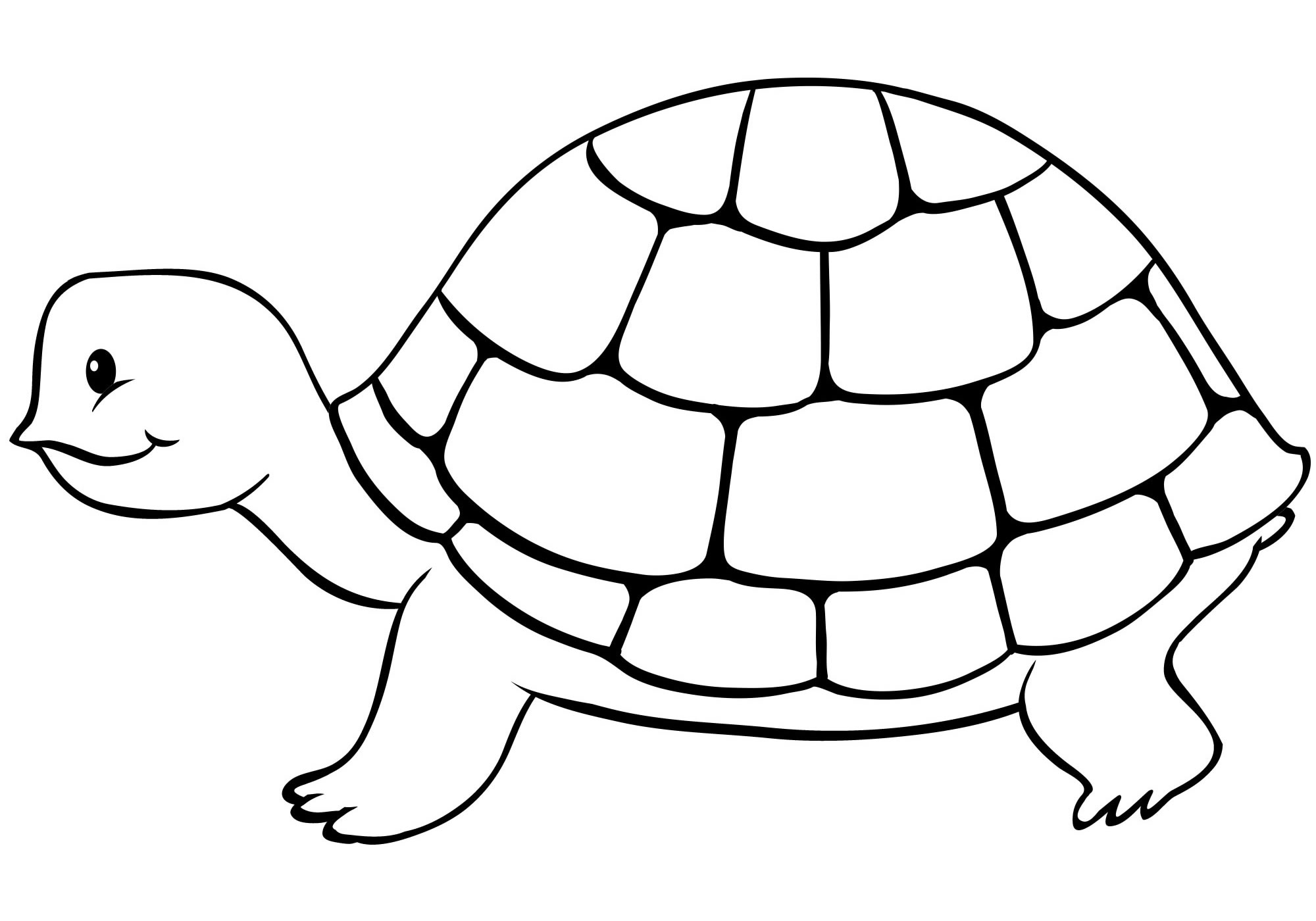 Раскраски Черепаха — Распечатывайте бесплатно