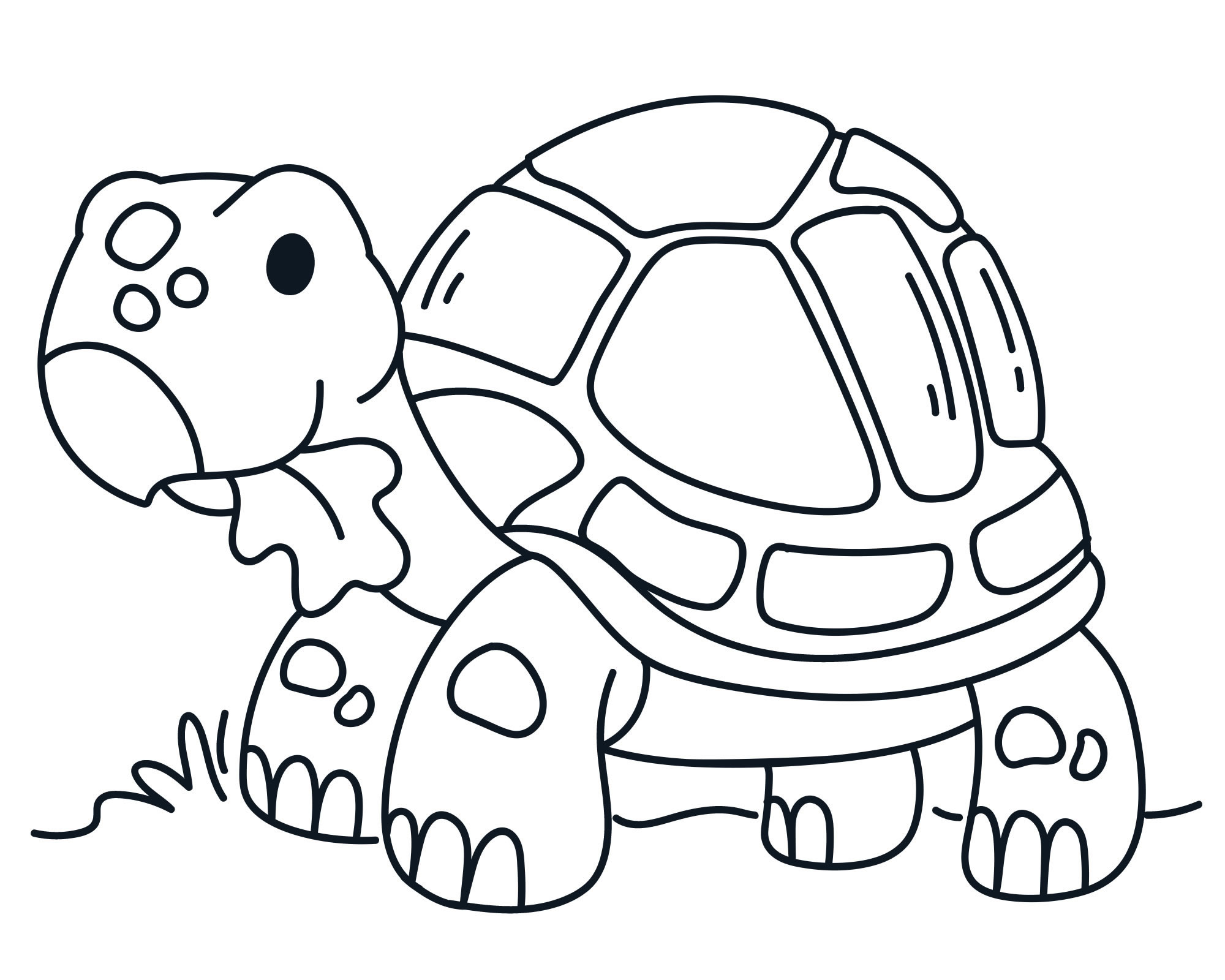 Красивая черепаха — раскраска для детей. Распечатать бесплатно.