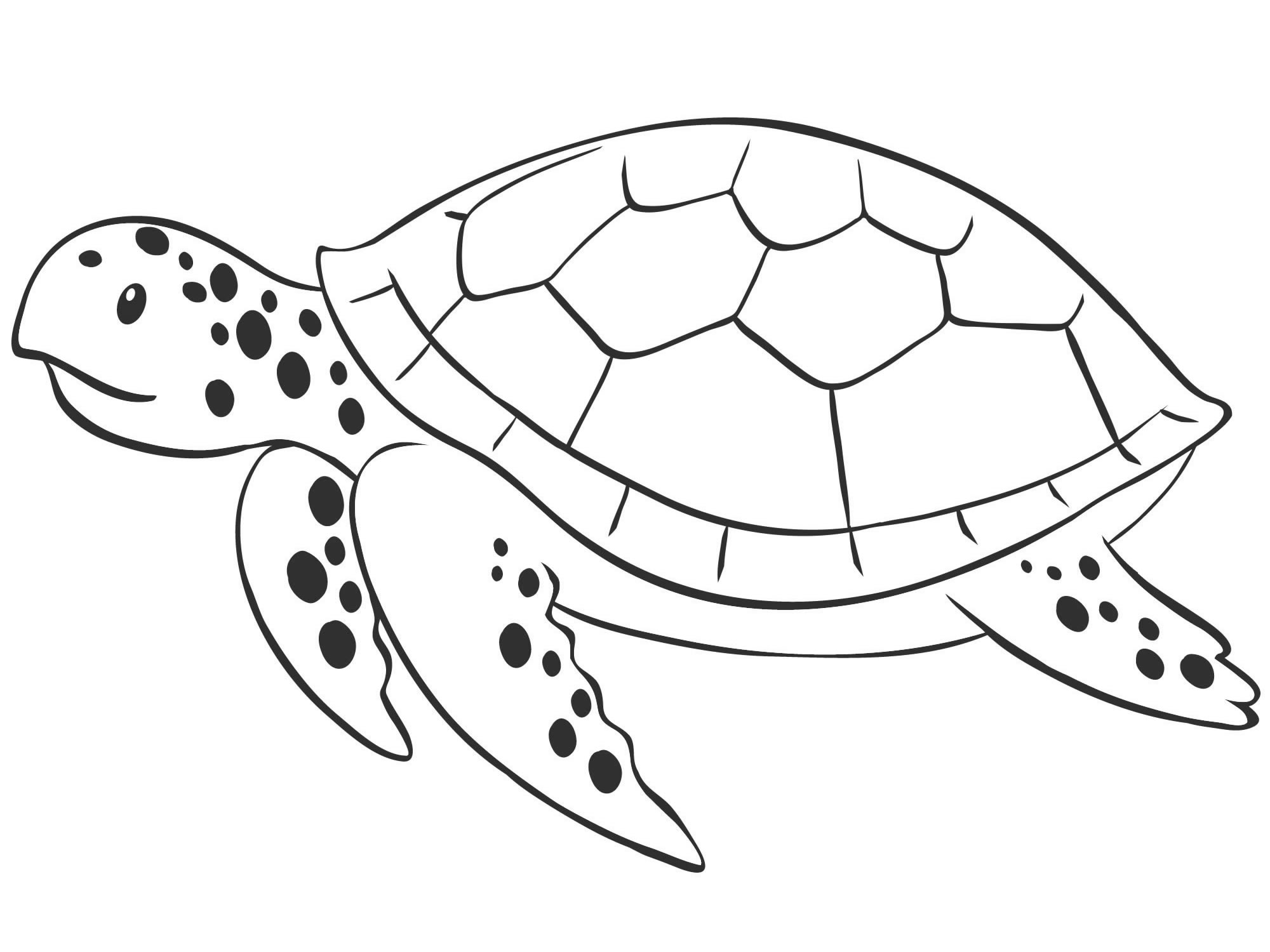 Морская черепаха раскраска для детей