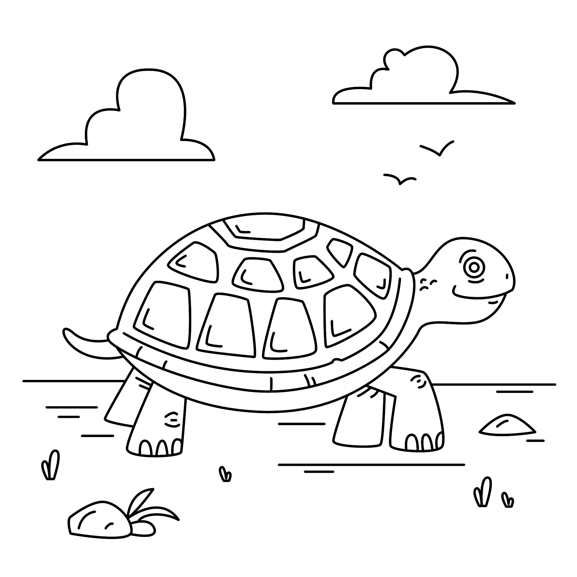 Черепаха гуляет раскраска для детей