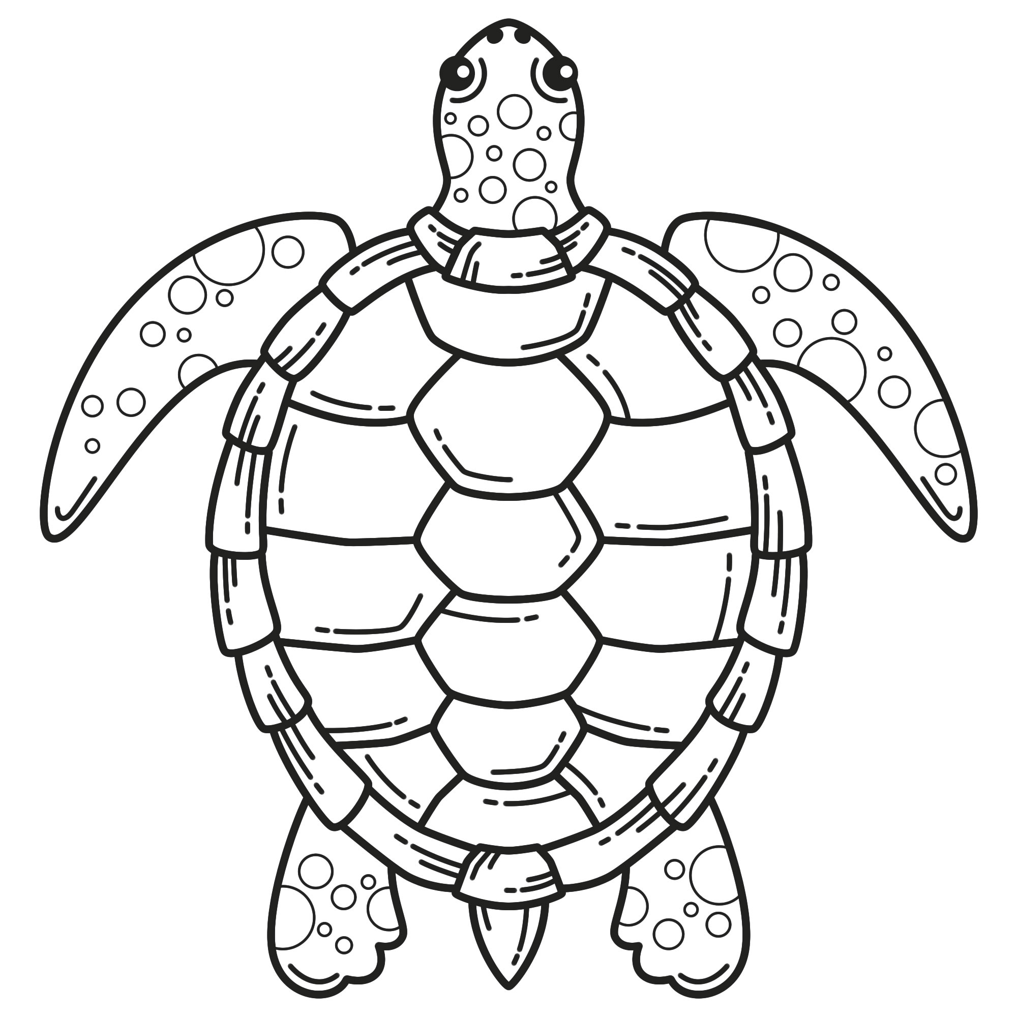 черепаха рисунок раскраска