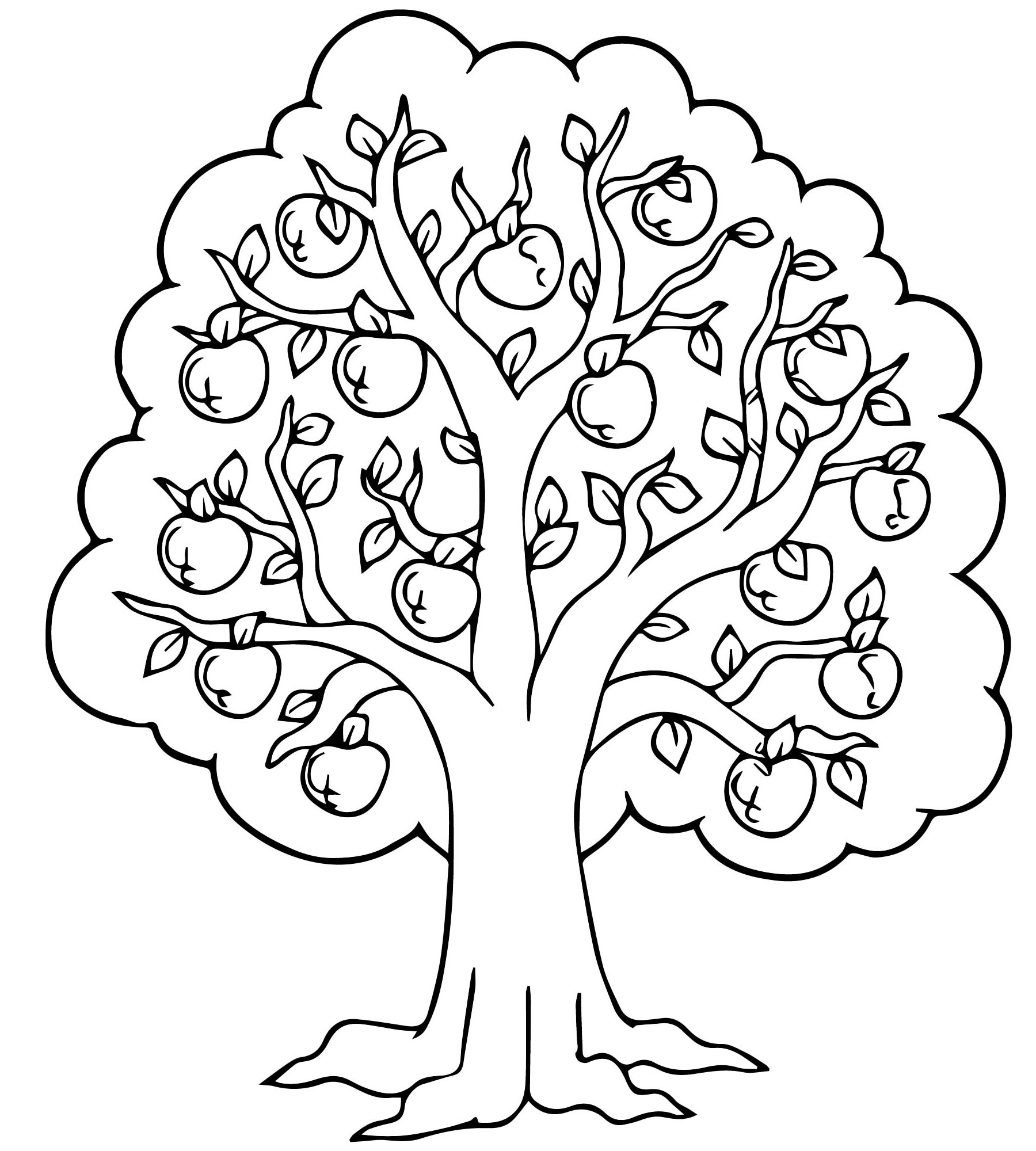 Дерево яблоня раскраска для детей