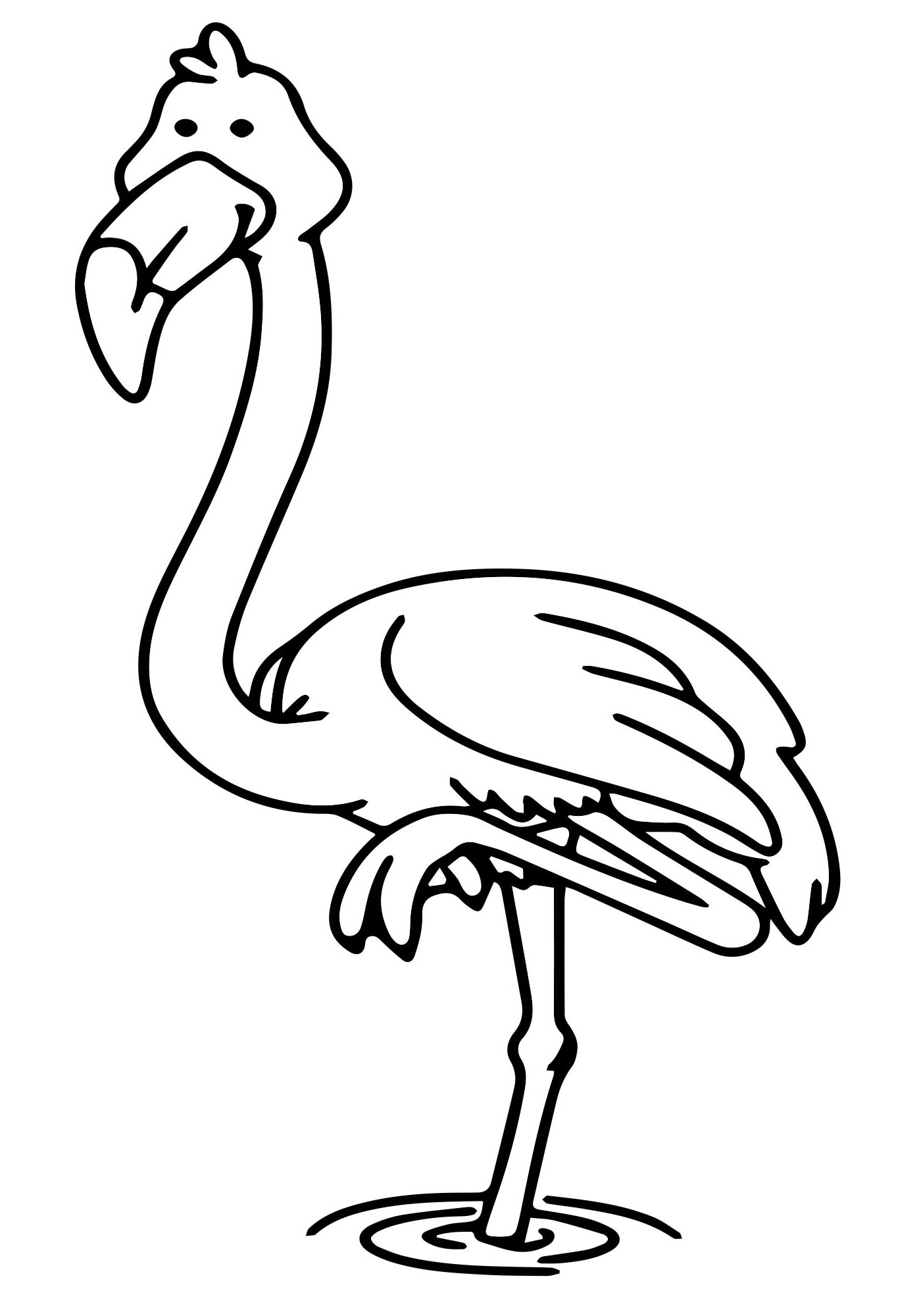 Раскраски животные Фламинго