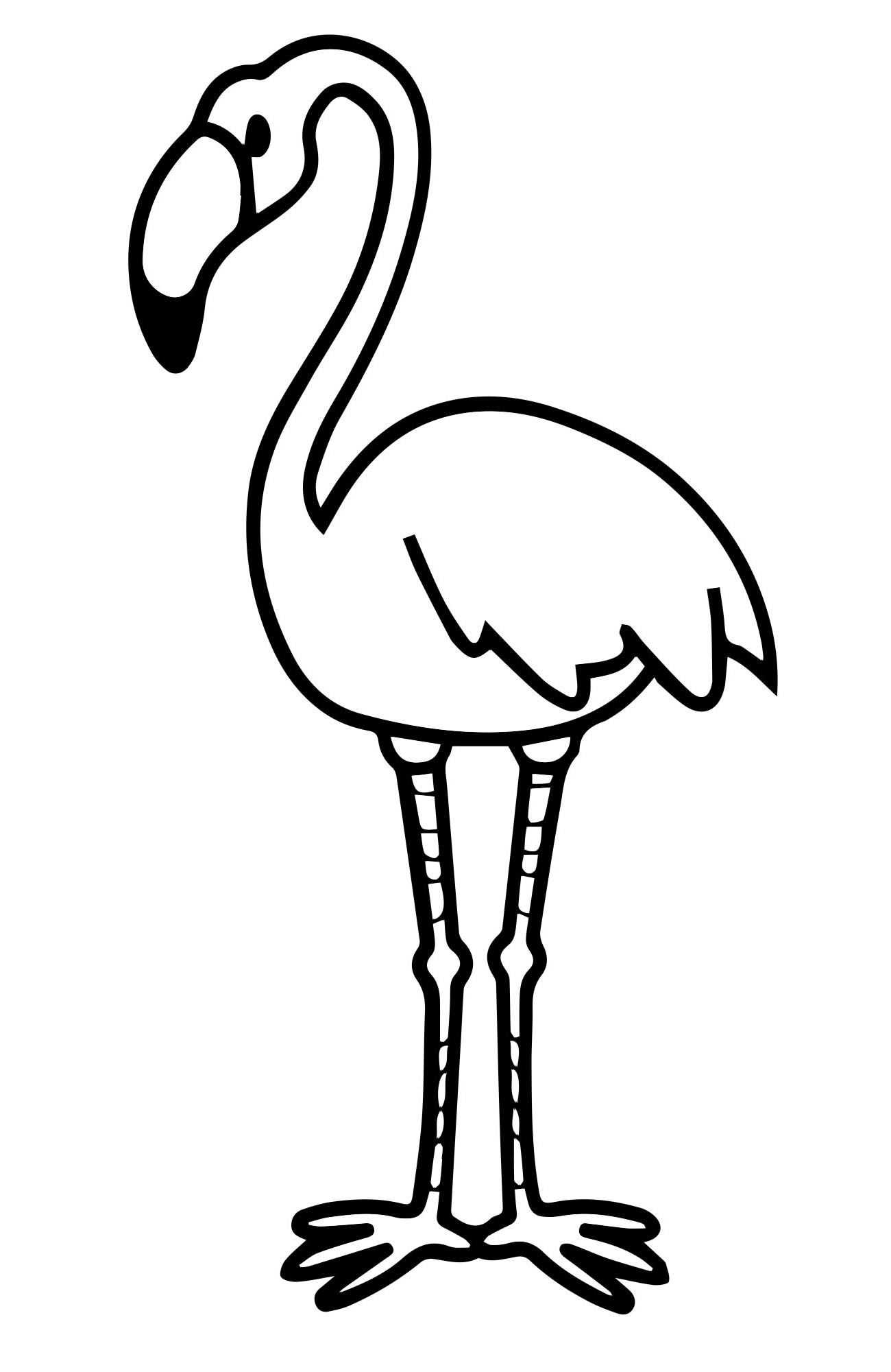 Птица фламинго раскраска для детей
