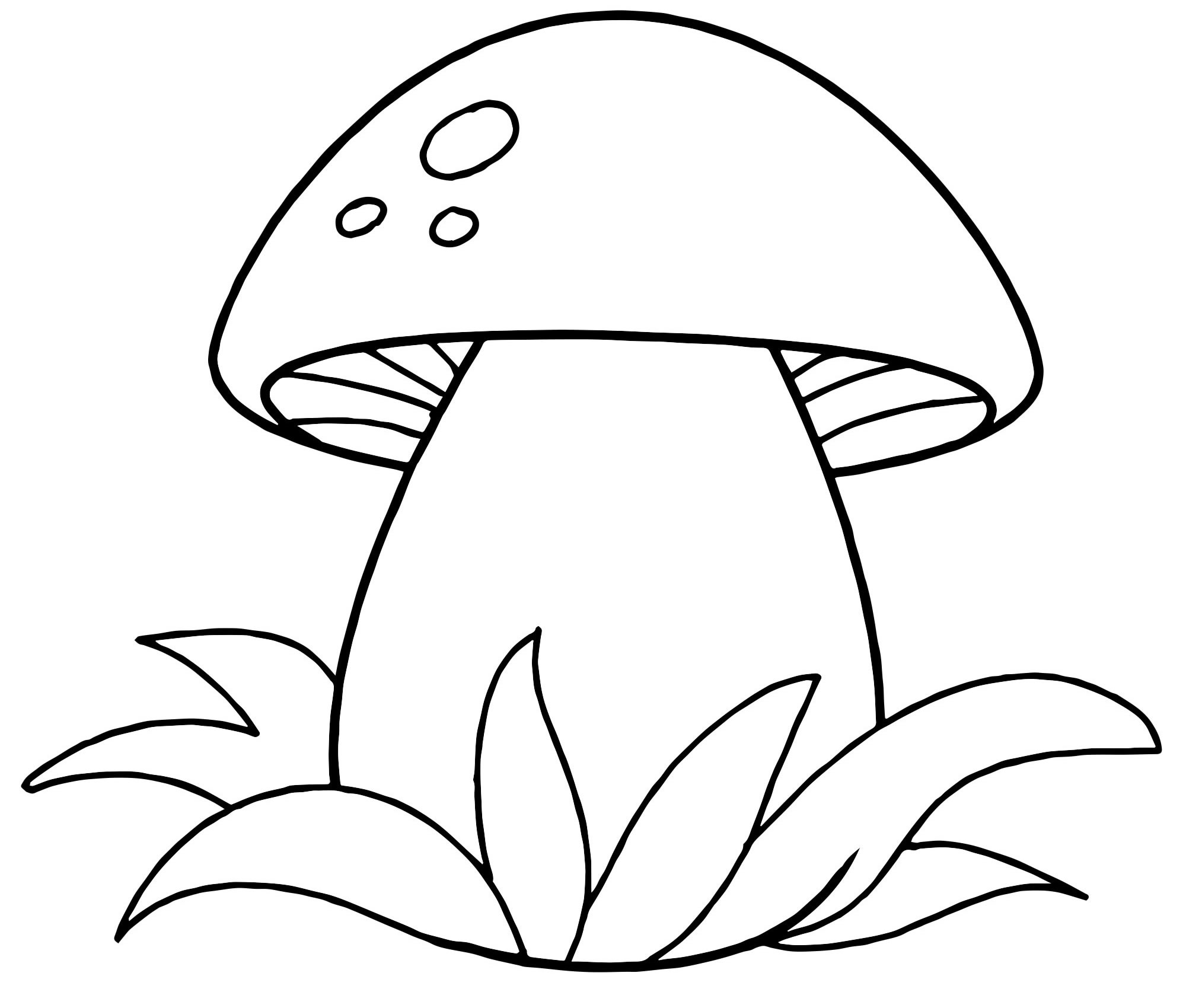 Раскраска. грибы с названиями
