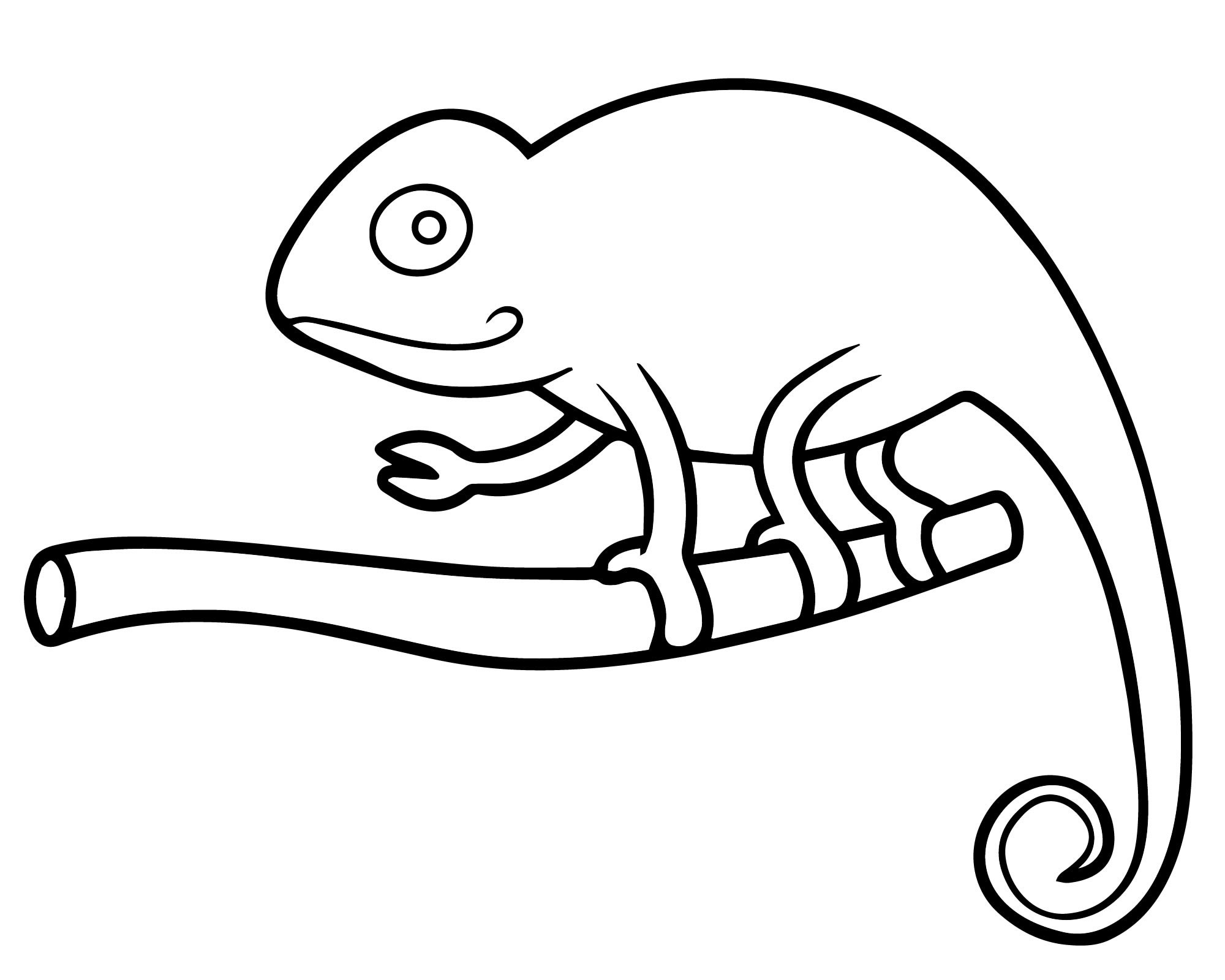 Рисунок животного хамелеон