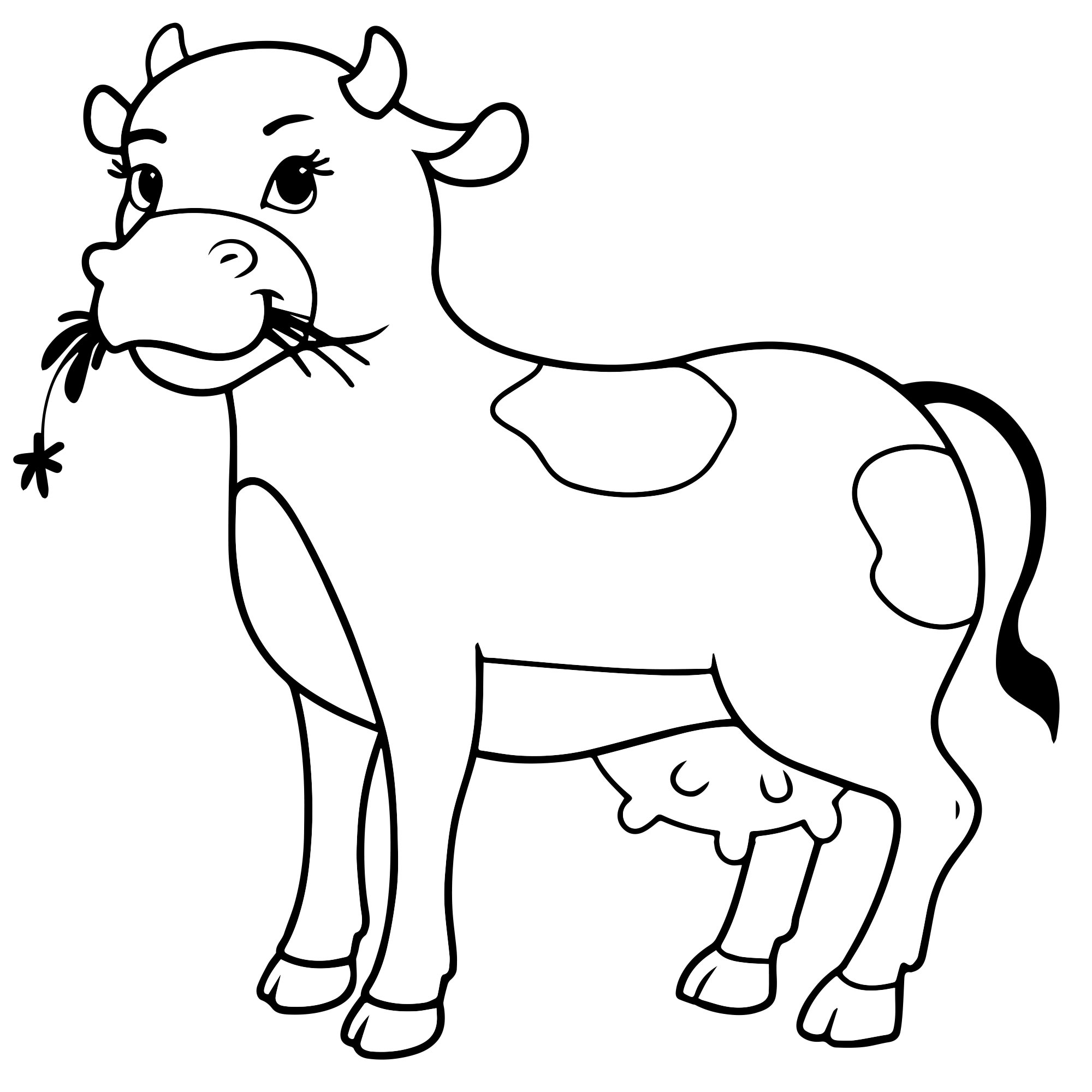 Корова жует траву раскраска для детей
