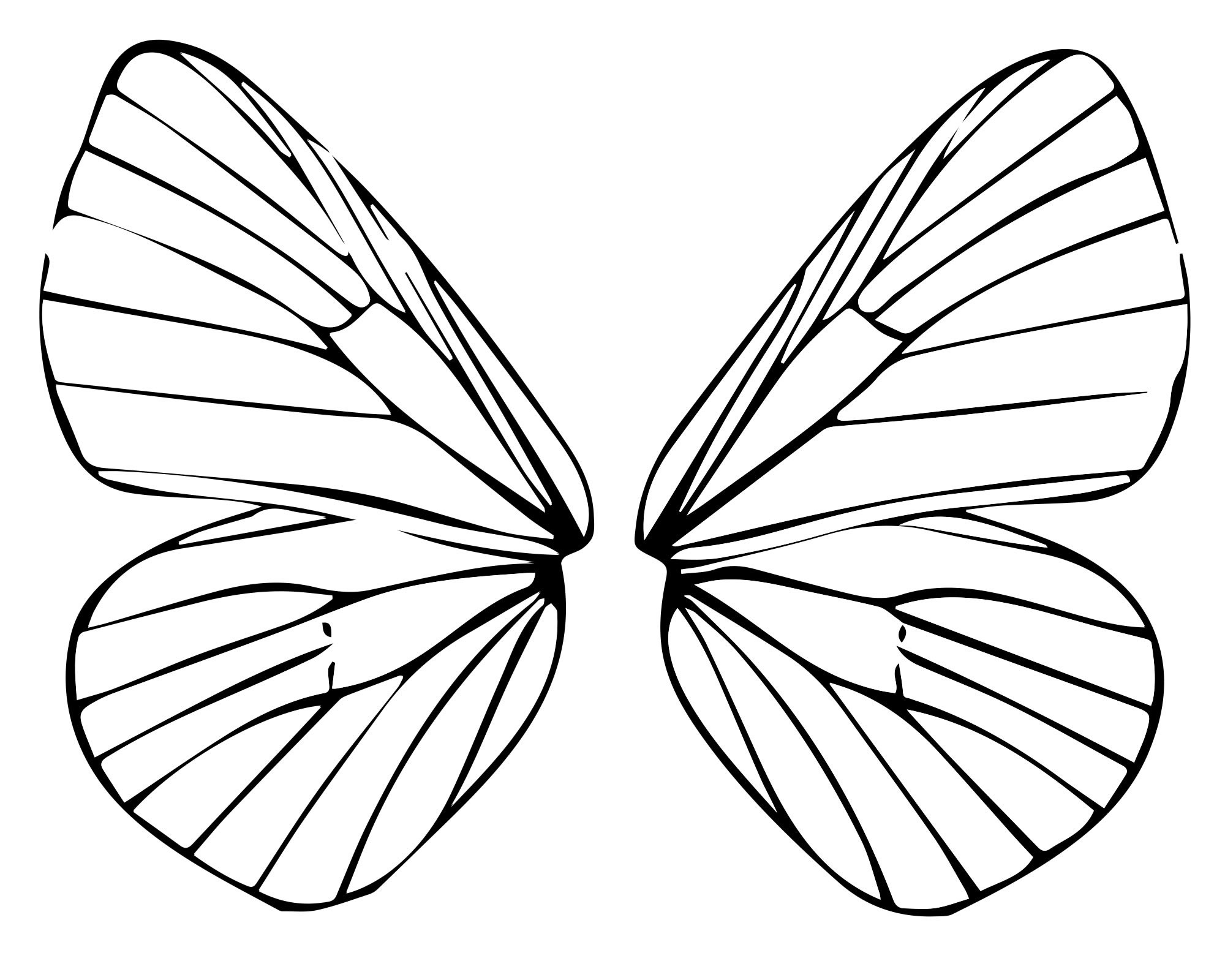 Крылья бабочки раскраска для детей