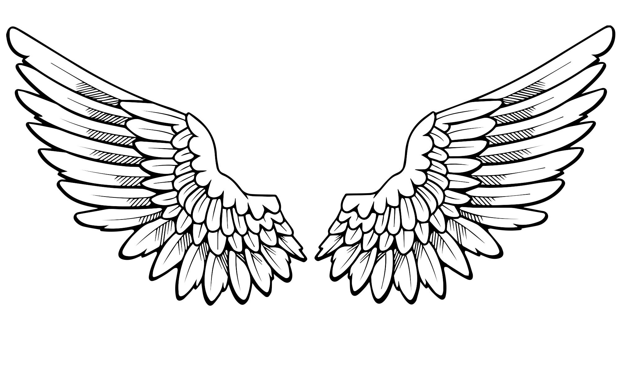 Крылья орла раскраска для детей