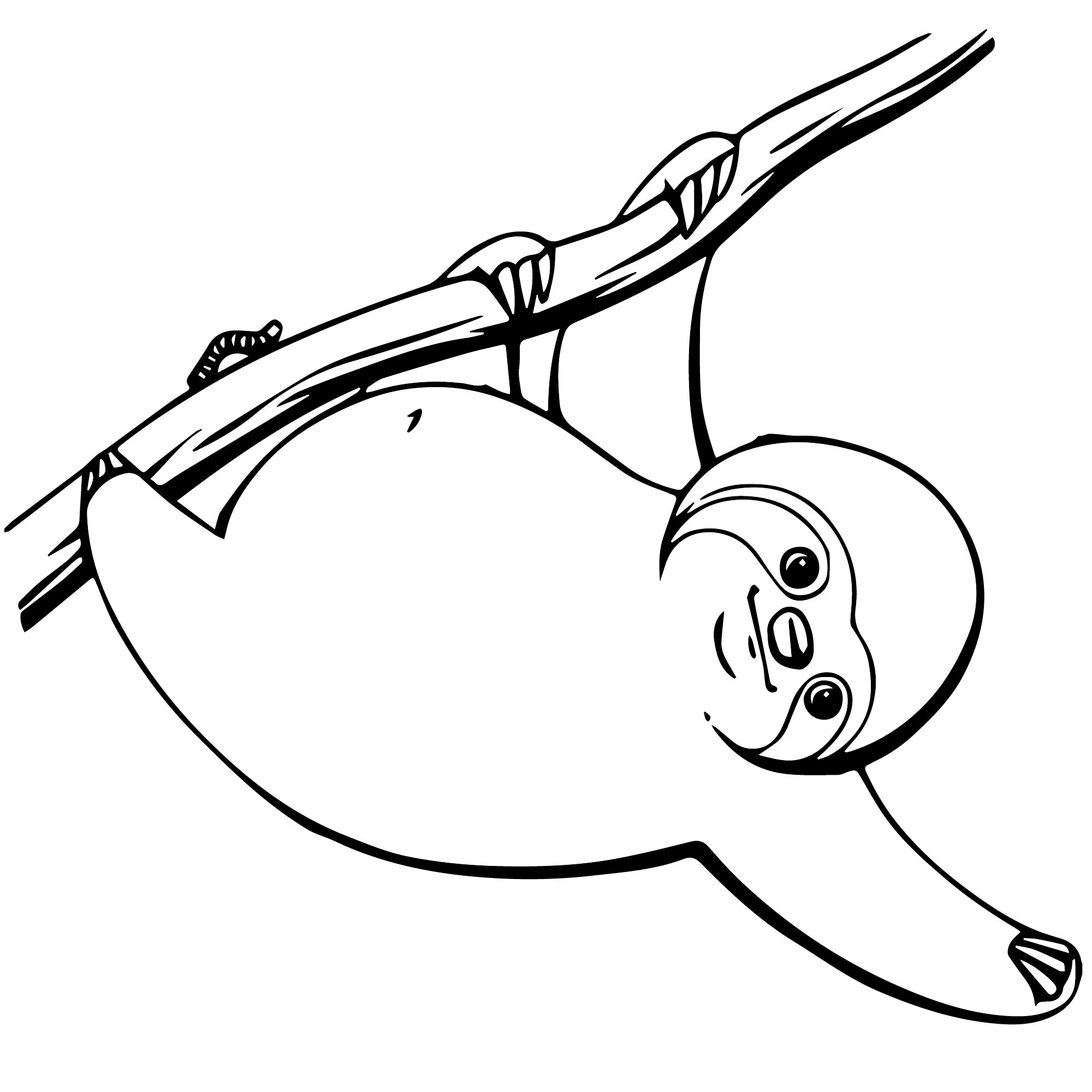 Ленивец рисунок для детей