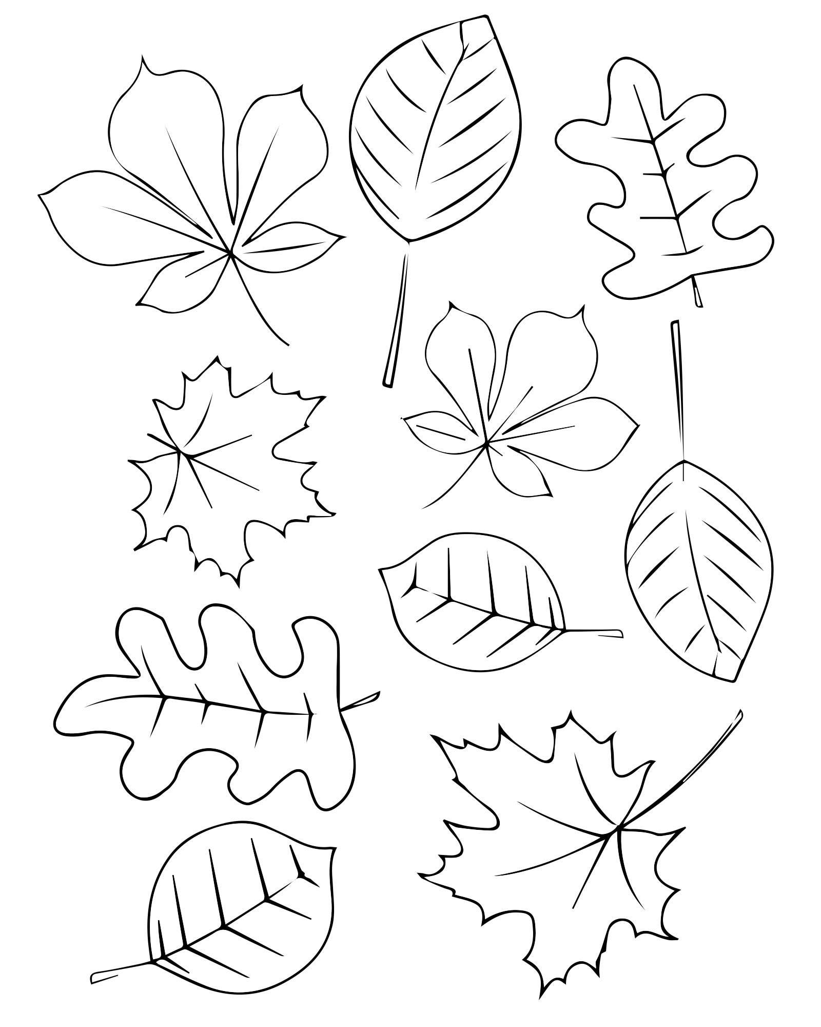 Раскраски листья: Анимированные картинки и гифки