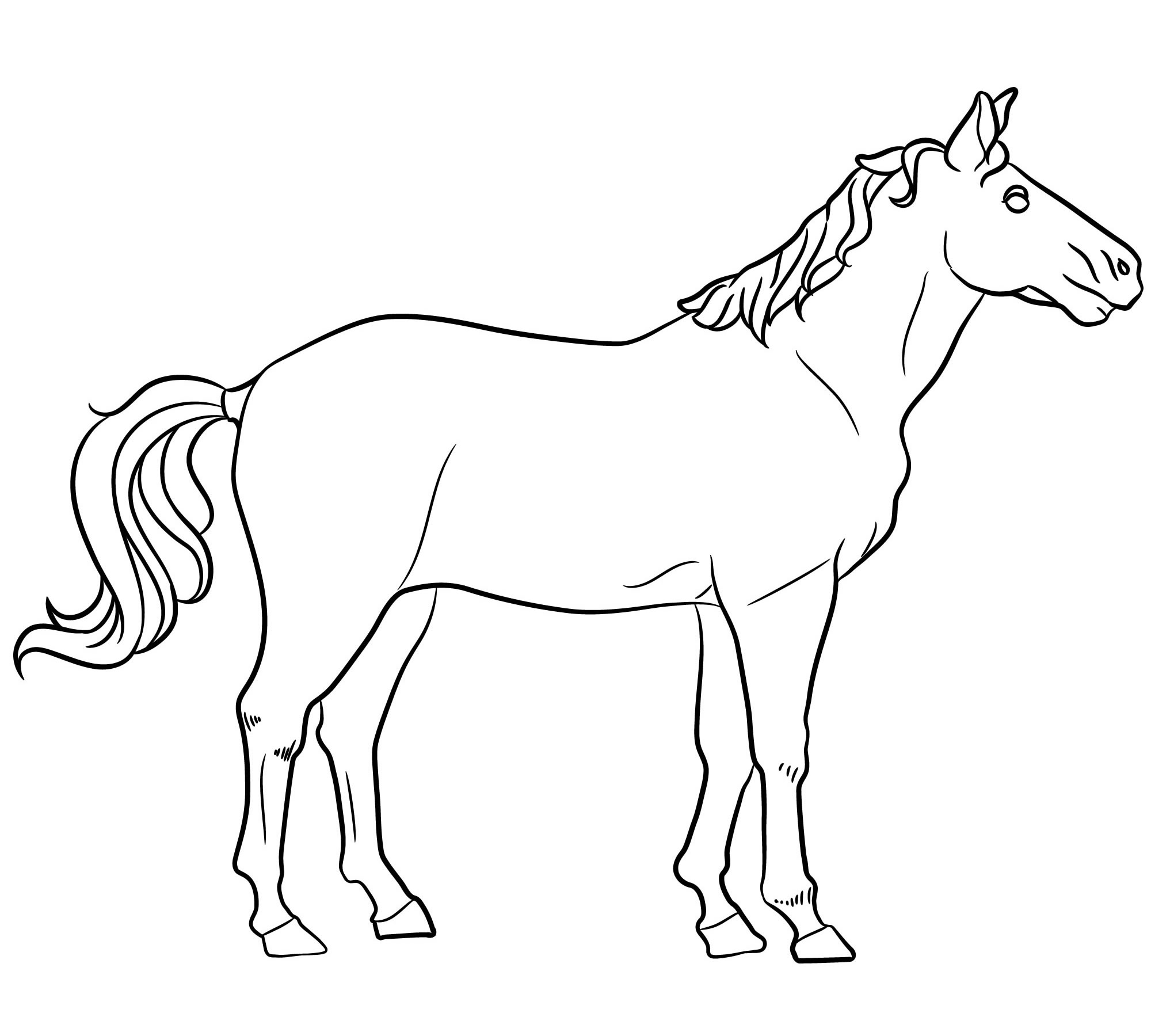 Настоящая лошадь раскраска для детей
