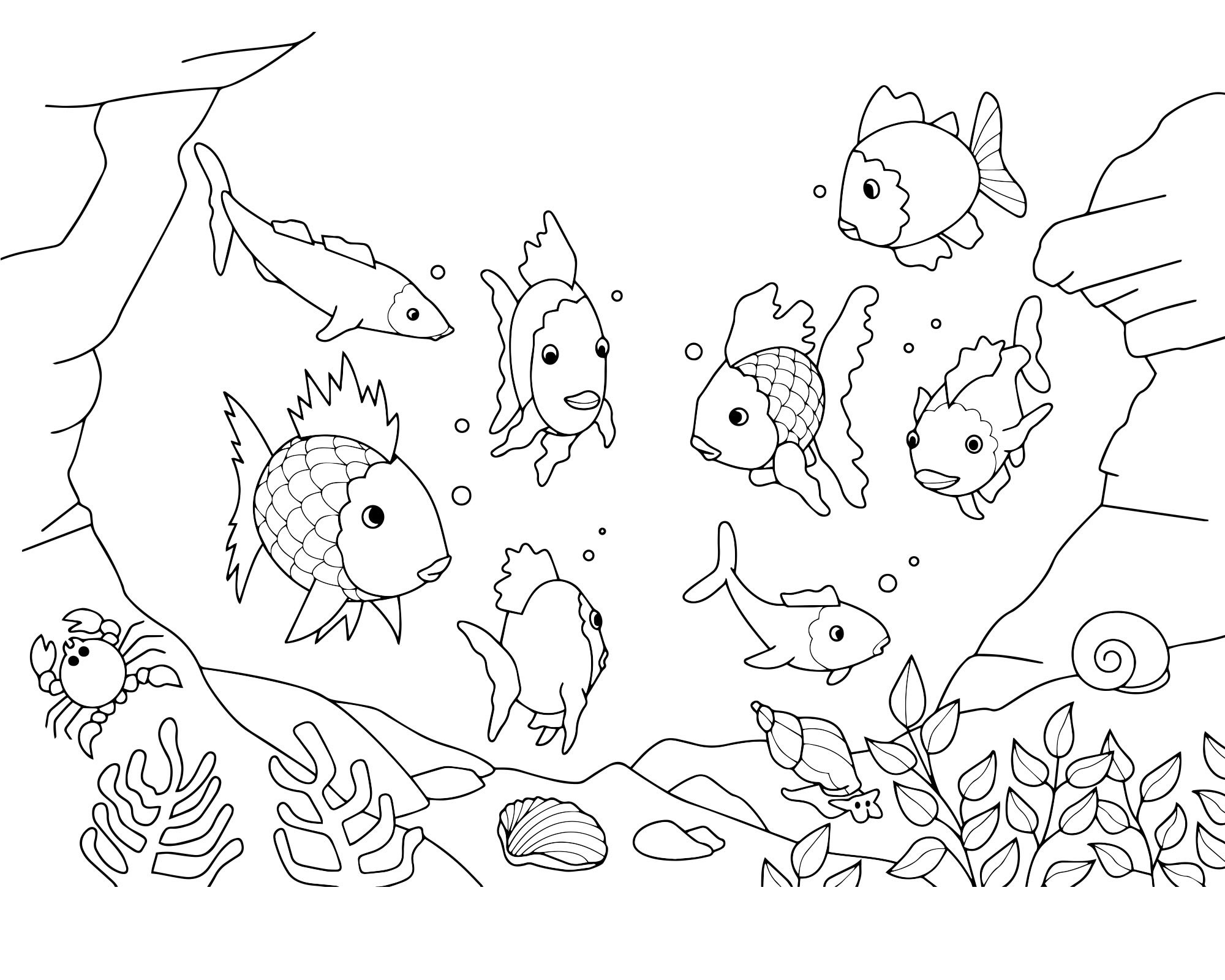 Раскраска рыба для малышей – Развивающие иллюстрации