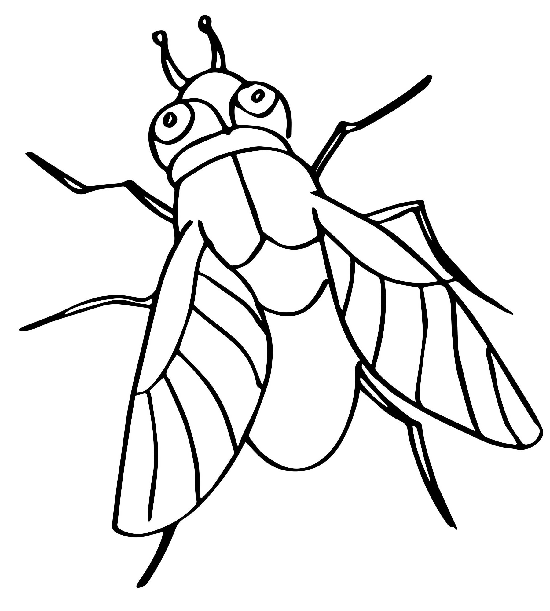 Фото по запросу Раскраска насекомые