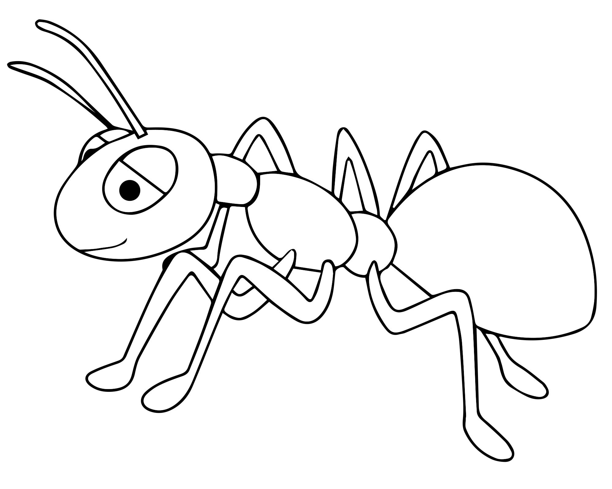 Рабочий муравей раскраска для детей