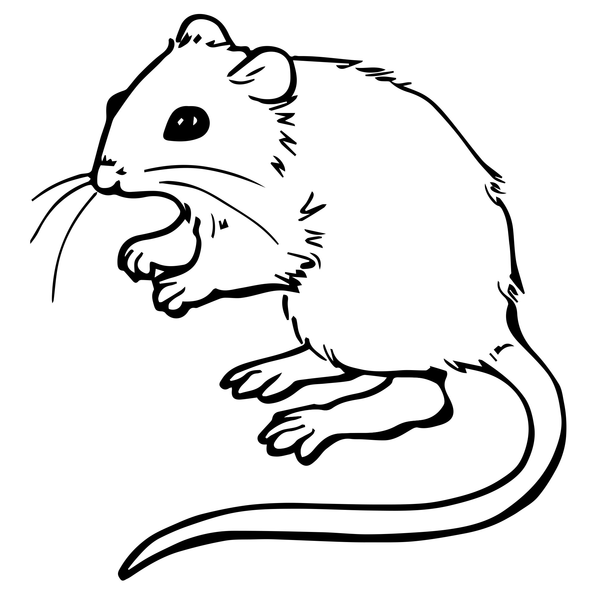 Раскраска компьютерная мышь – Математические картинки