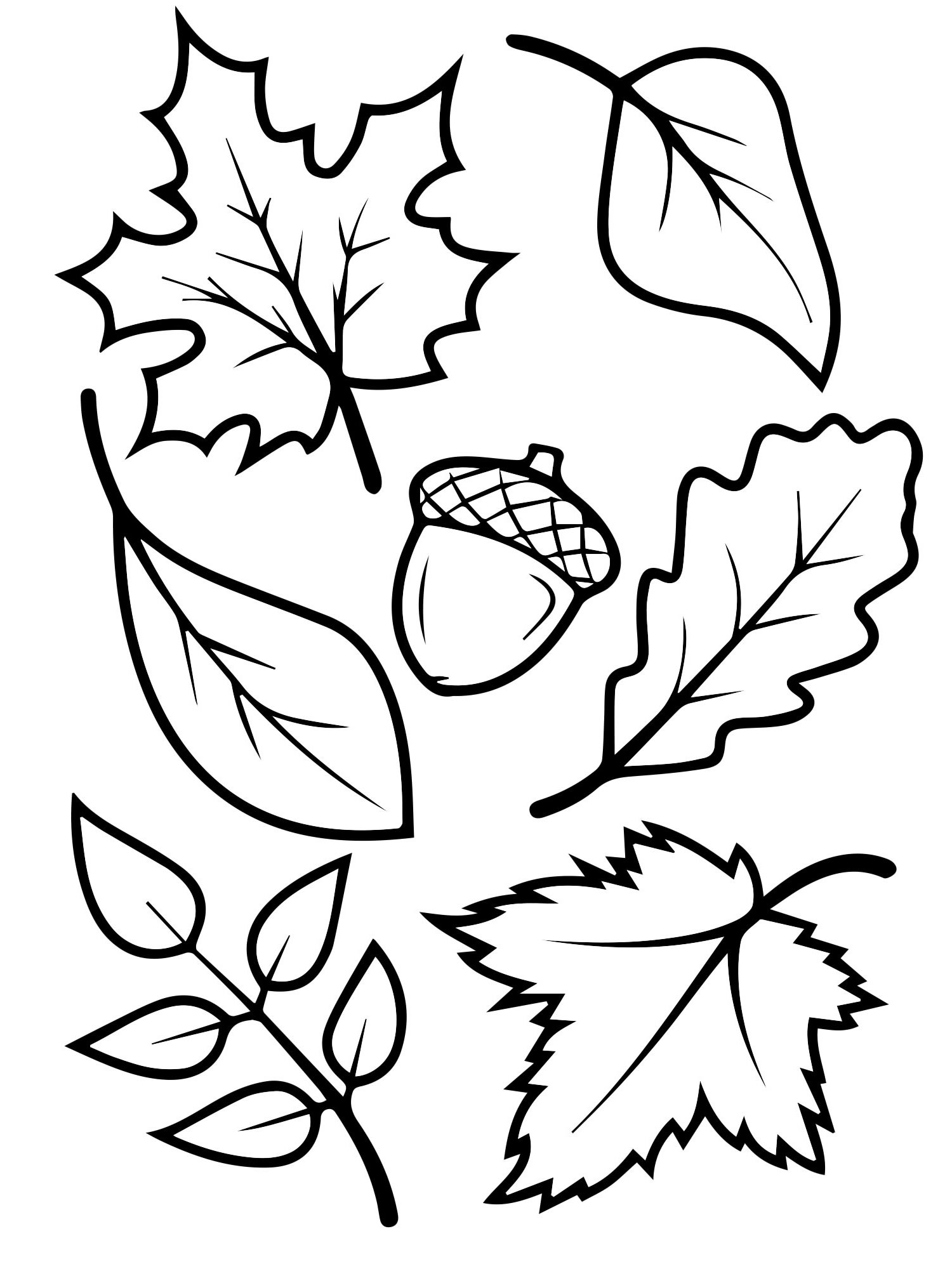 Раскраска осенние листья на листе распечатать