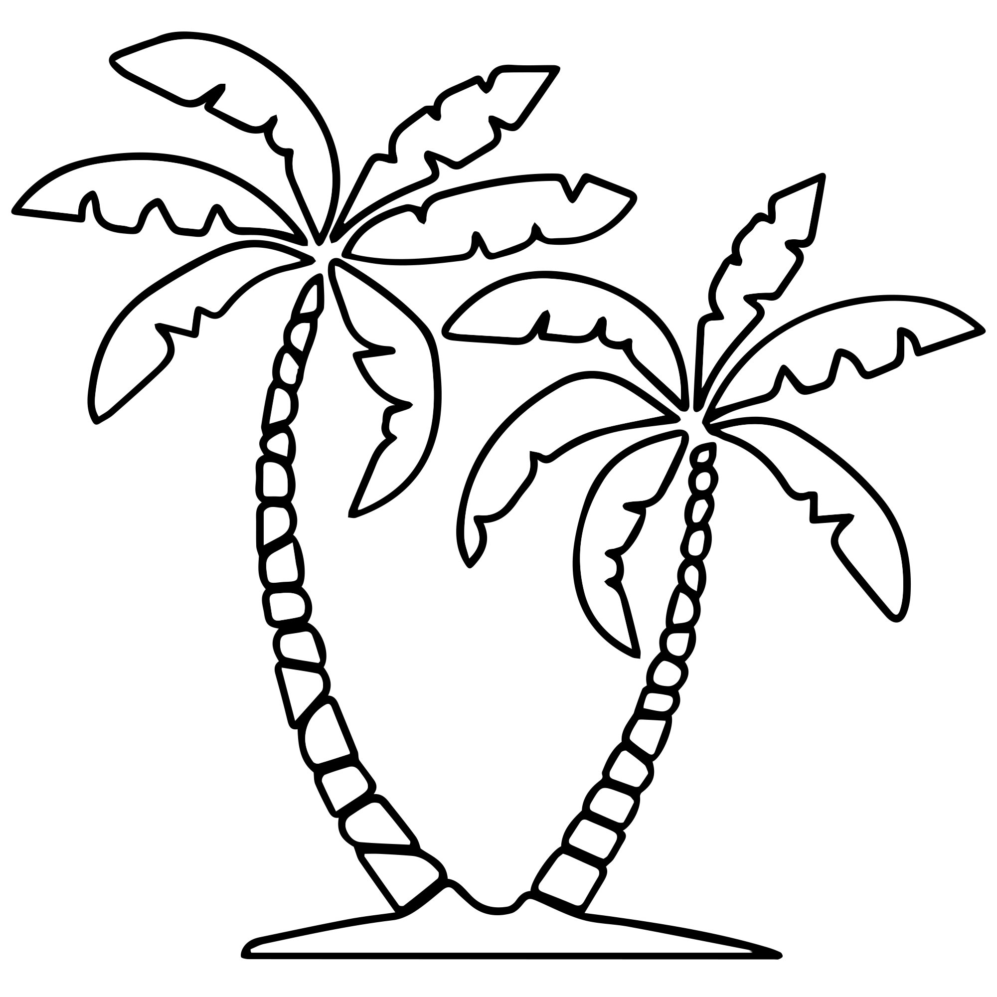 Раскраска кокос пальма – Математические картинки