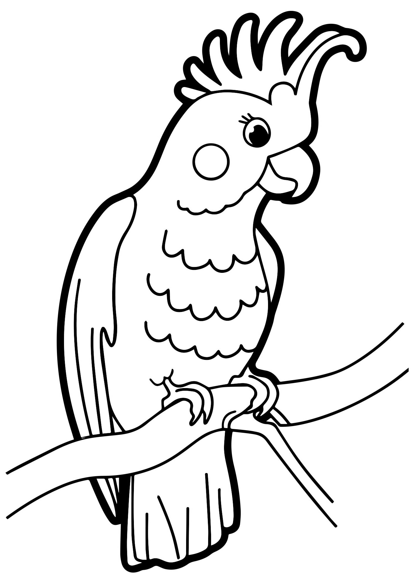 Раскраска Попугай - детские раскраски распечатать бесплатно
