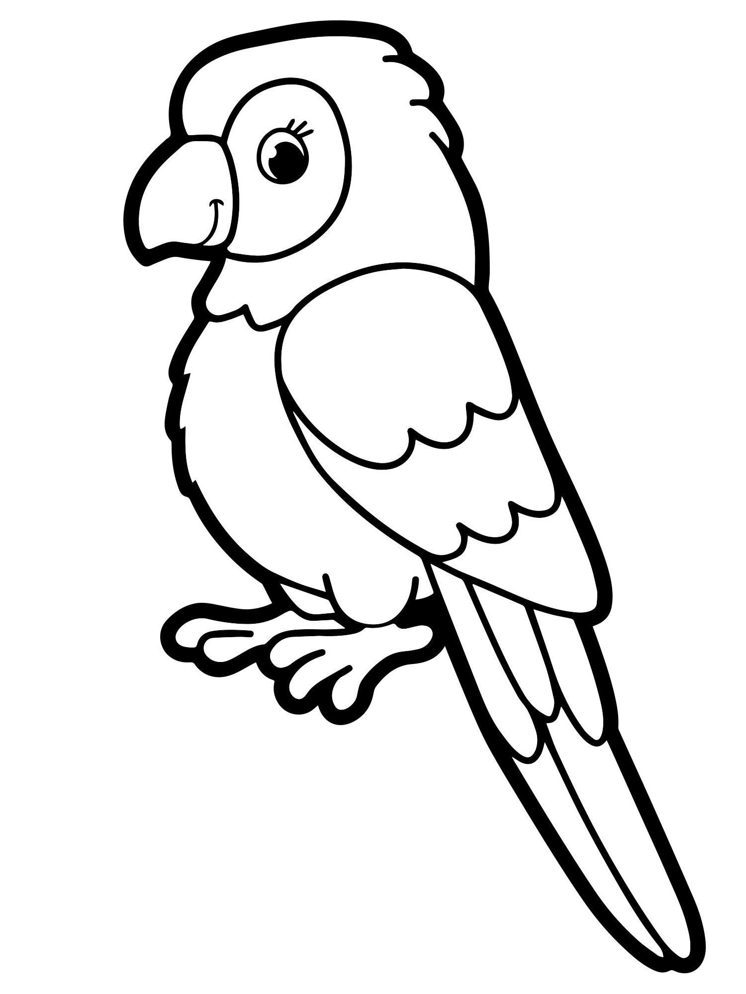 Красивый попугайчик раскраска для детей