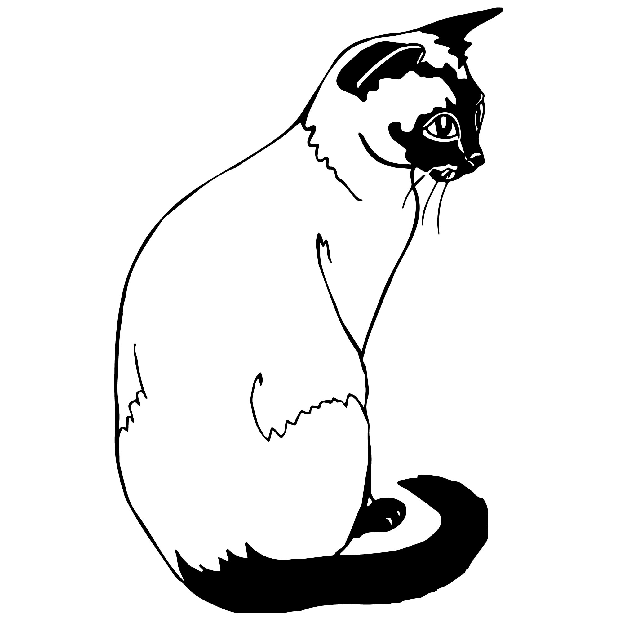 Сиамская кошка раскраска для детей