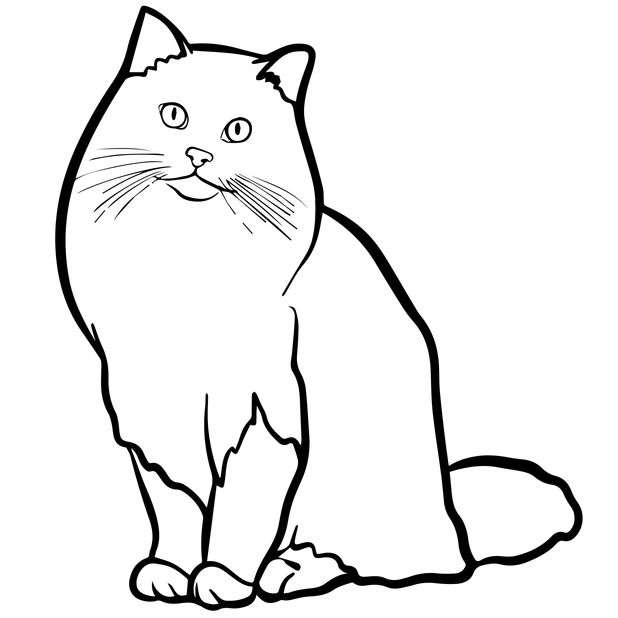 Сибирский кот раскраска для детей