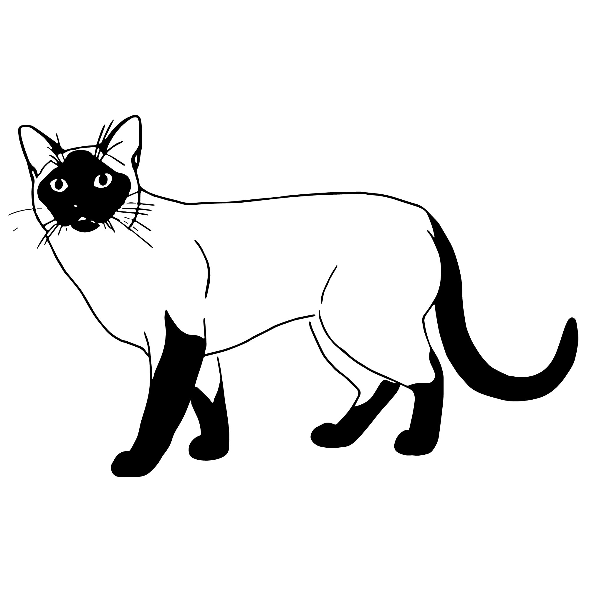 Порода сиамская кошка раскраска для детей