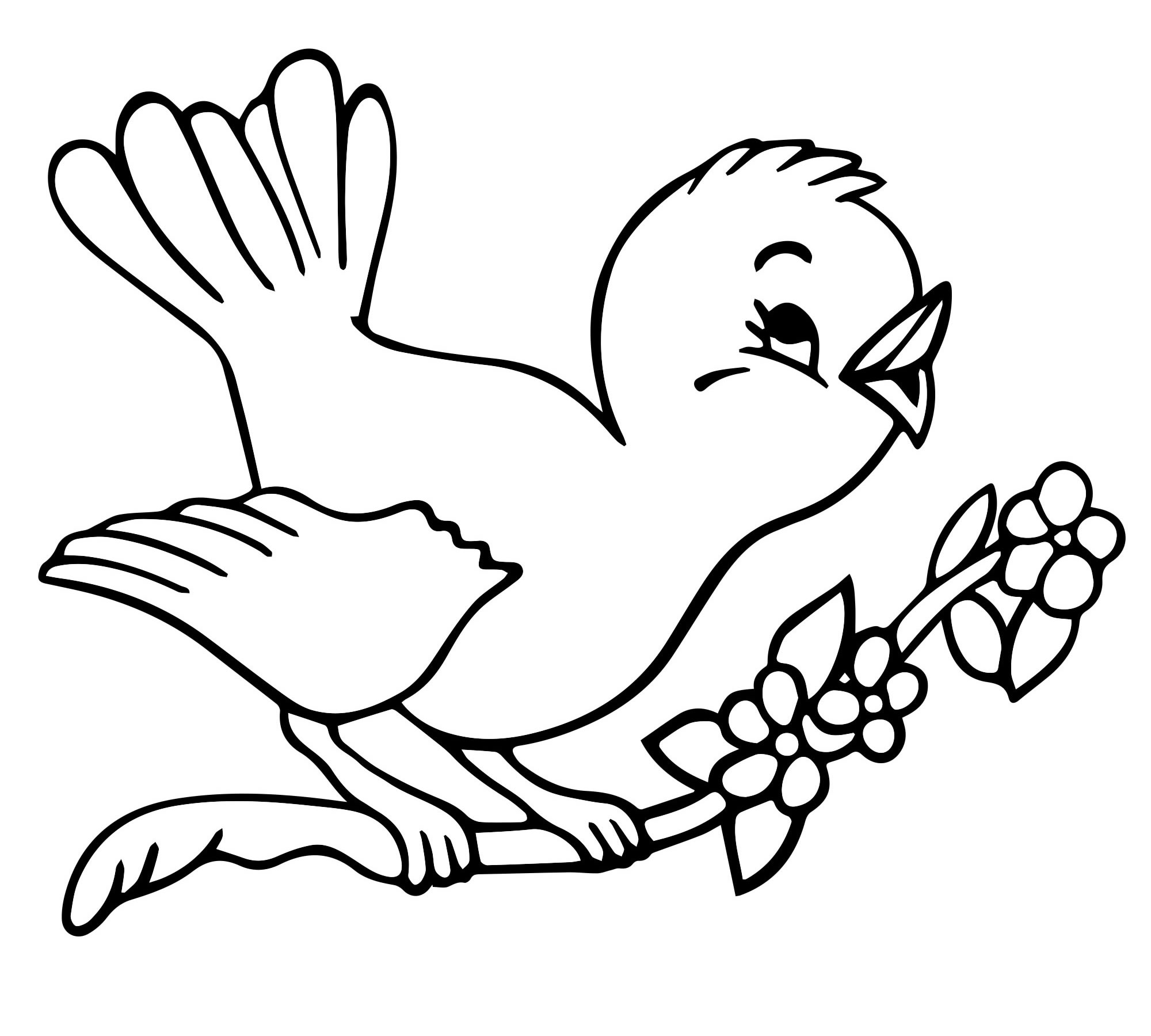 Раскраска Птицы домашние и дикие для детей распечатать бесплатно