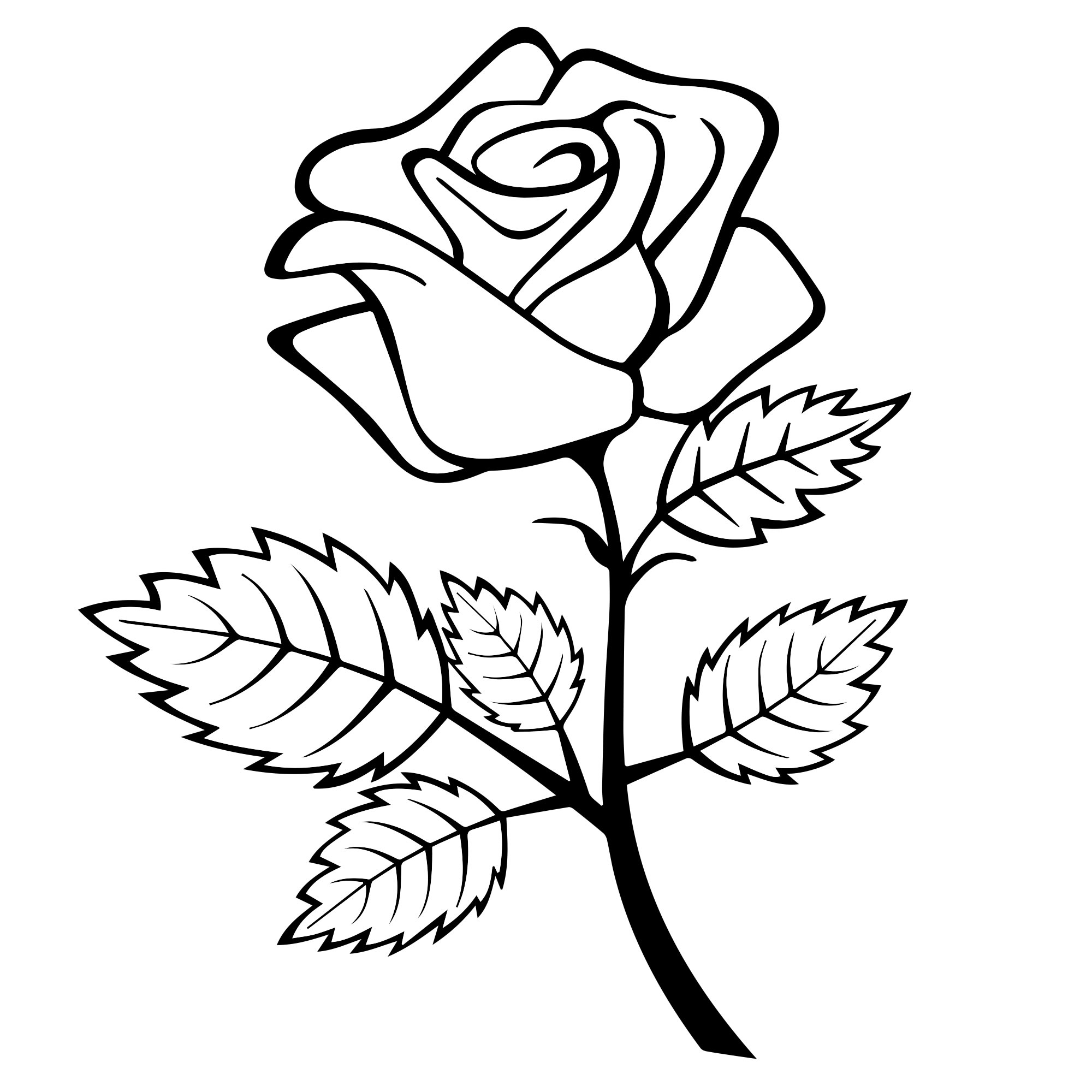 Цветок роза — раскраска для детей. Распечатать бесплатно.