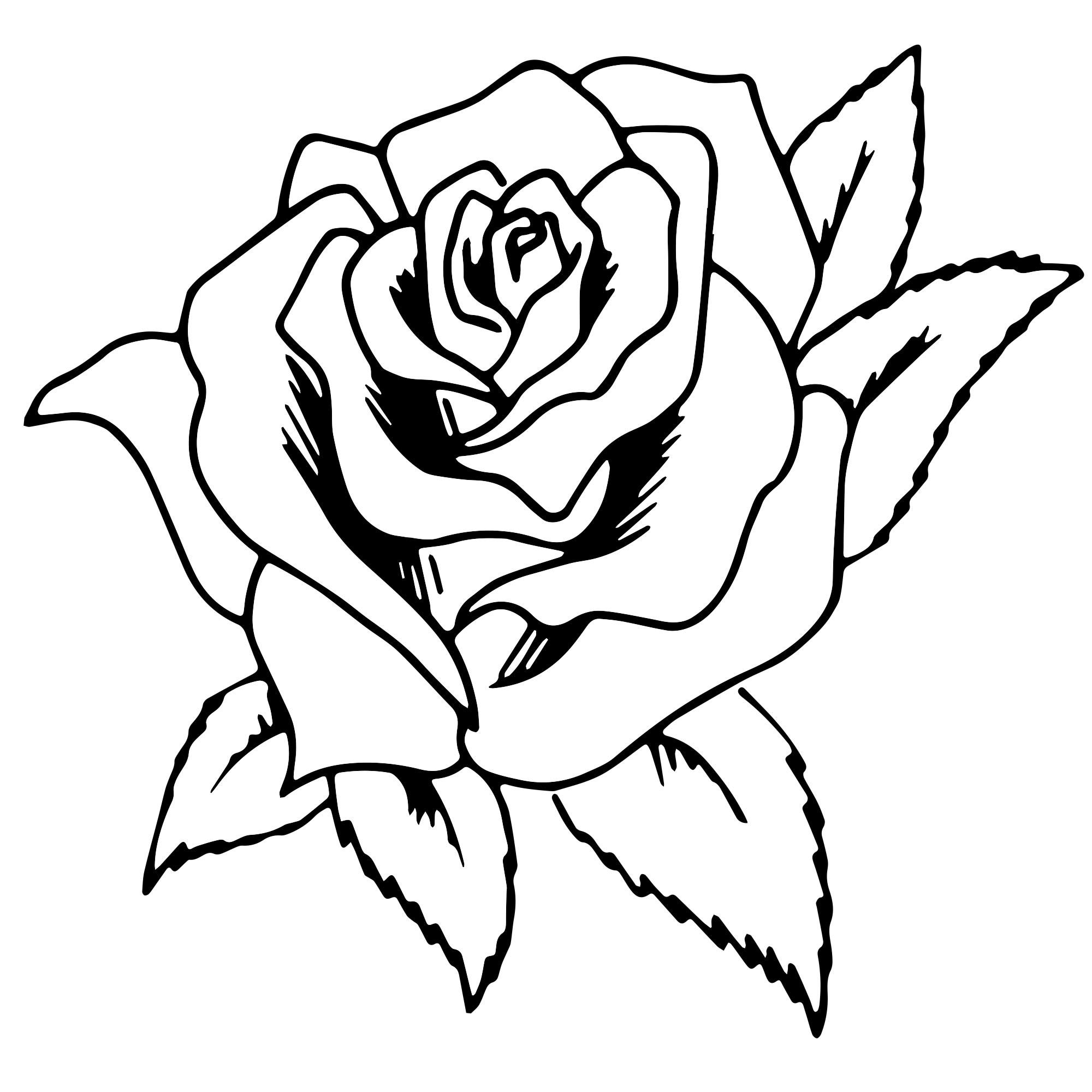 Раскраска розы с цветным контуром