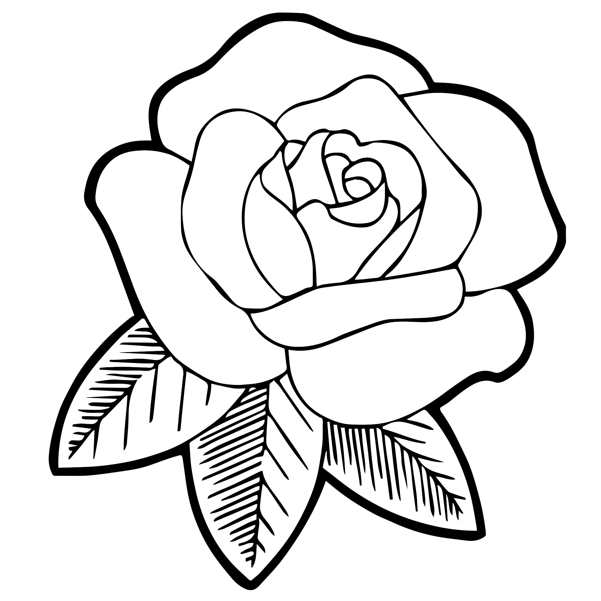 Бутон розы раскраска для детей