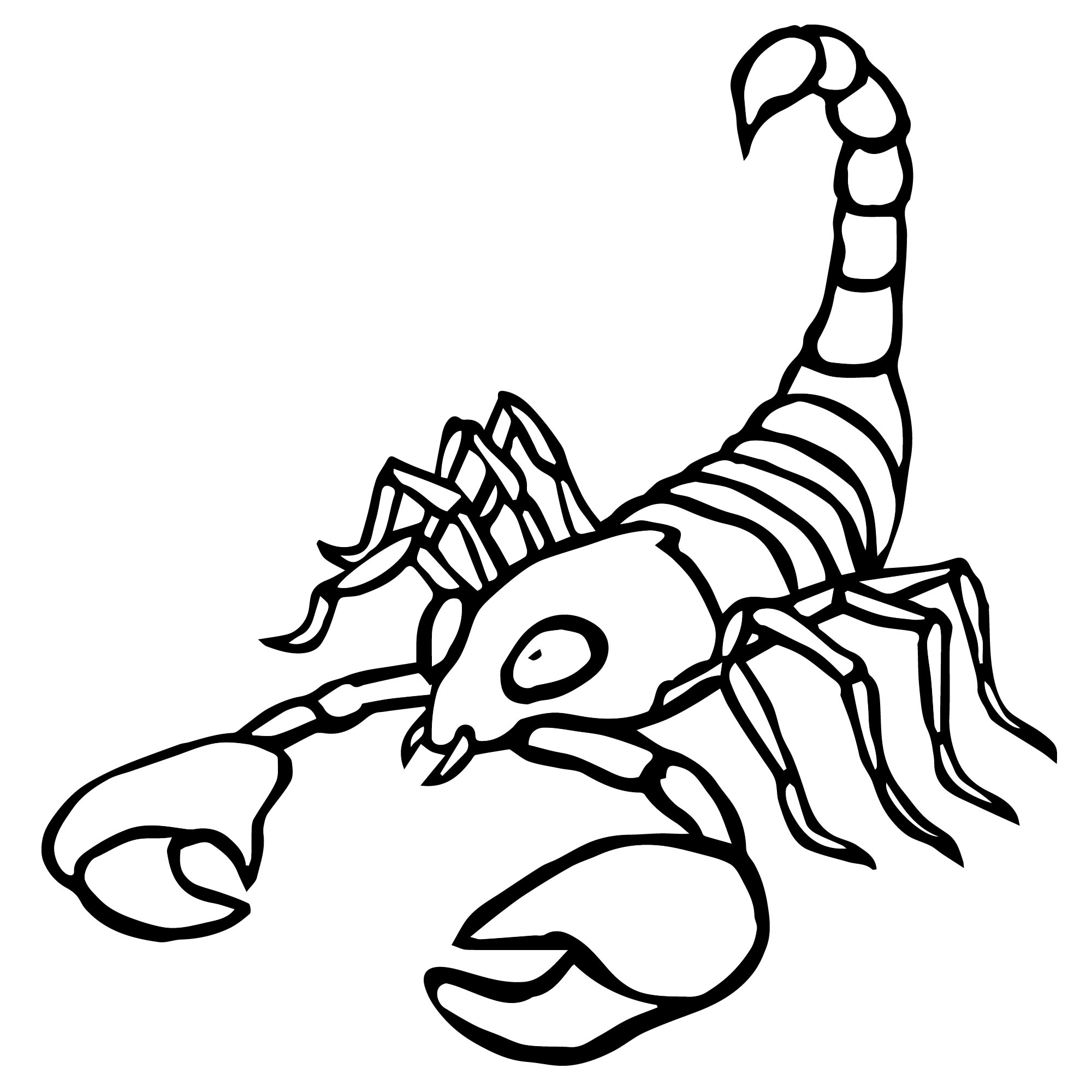 Скорпиончик раскраска для детей
