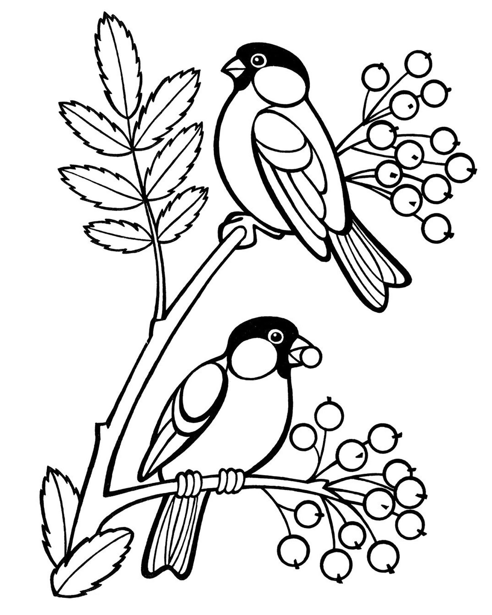 Раскраска онлайн Зимние птицы и скворечник бесплатно