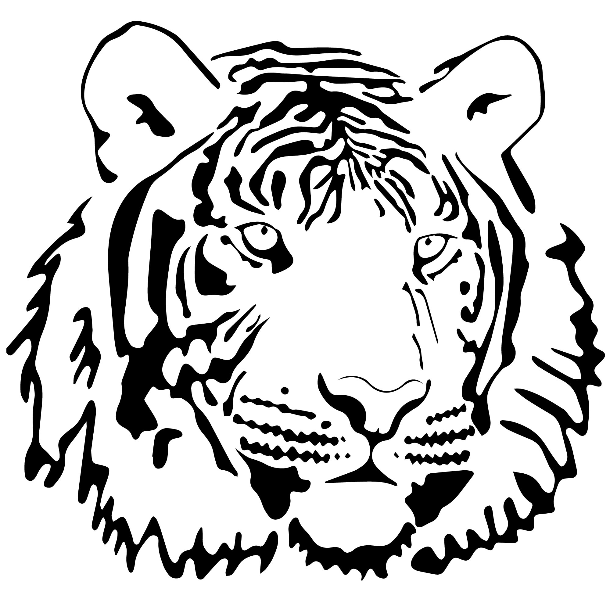 Раскраска Тигр распечатать бесплатно