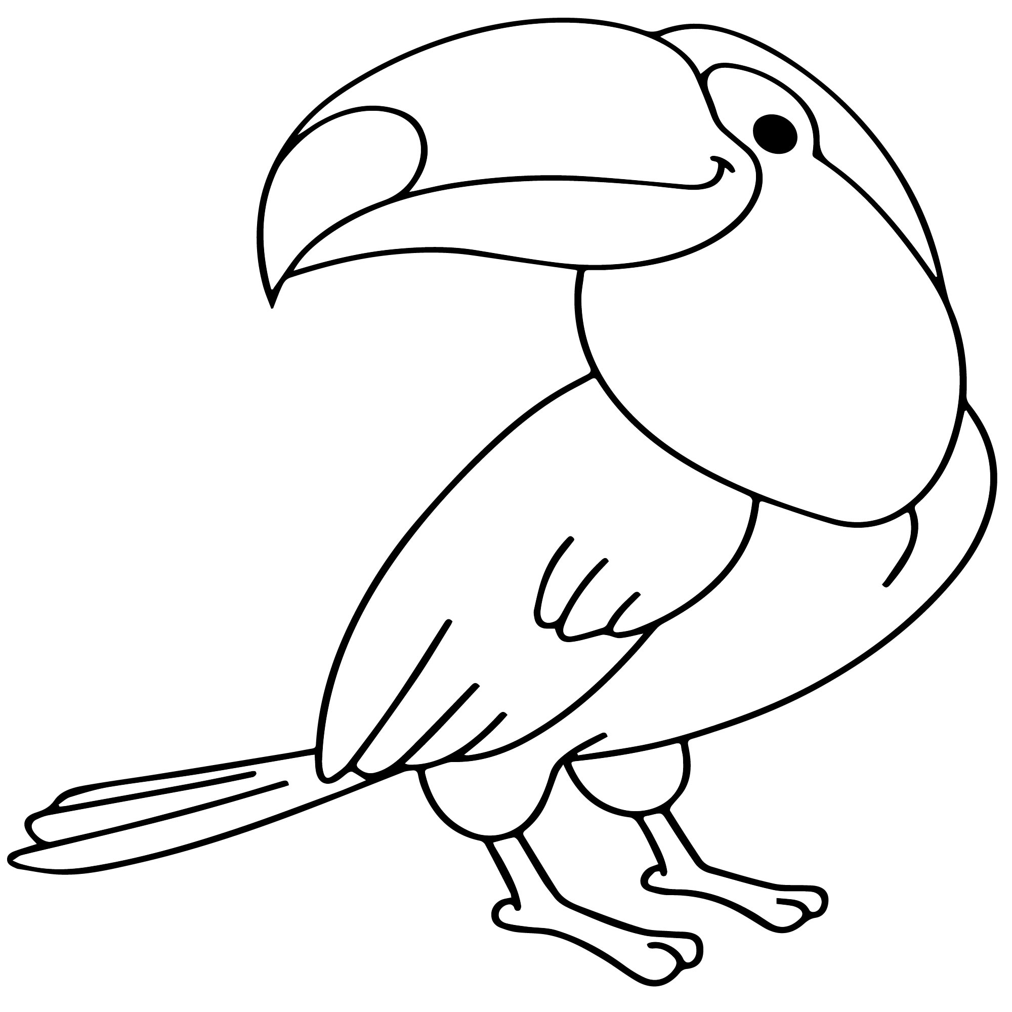 Тукан птица раскраска