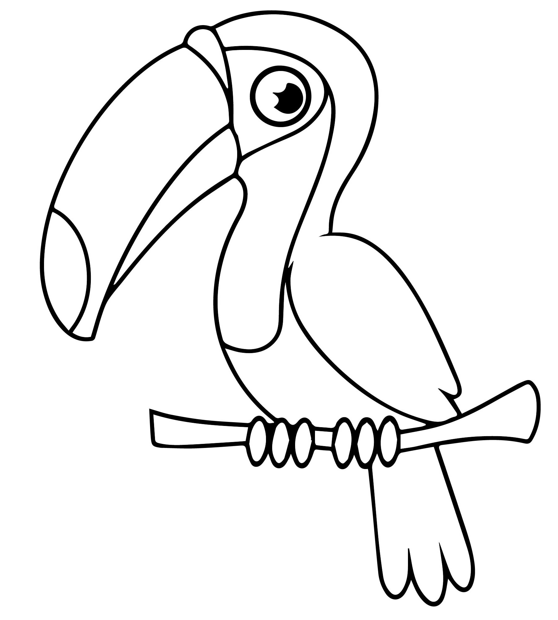 Тукан птица рисунок карандашом