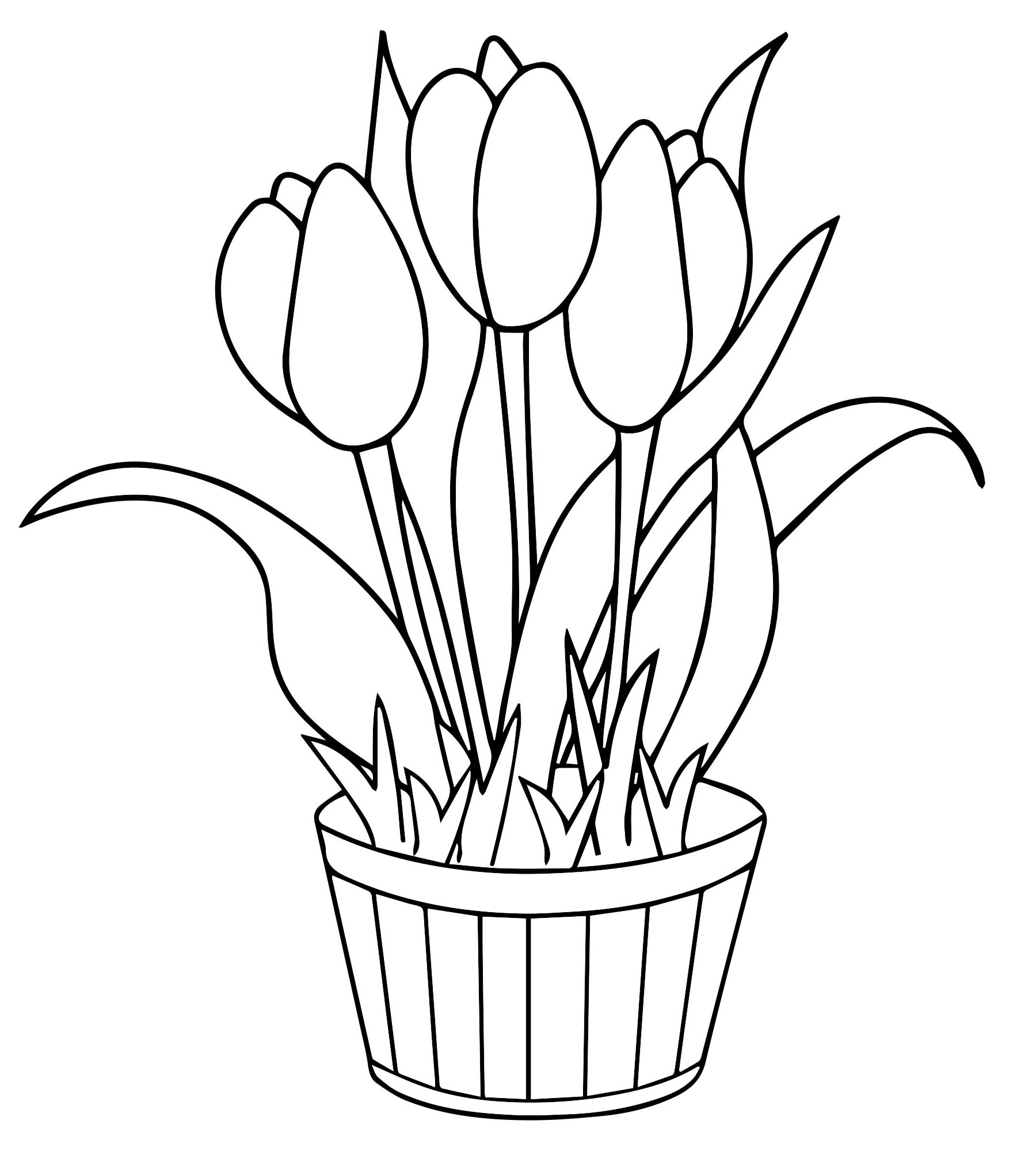 Раскраски Тюльпаны — Распечатывайте бесплатно